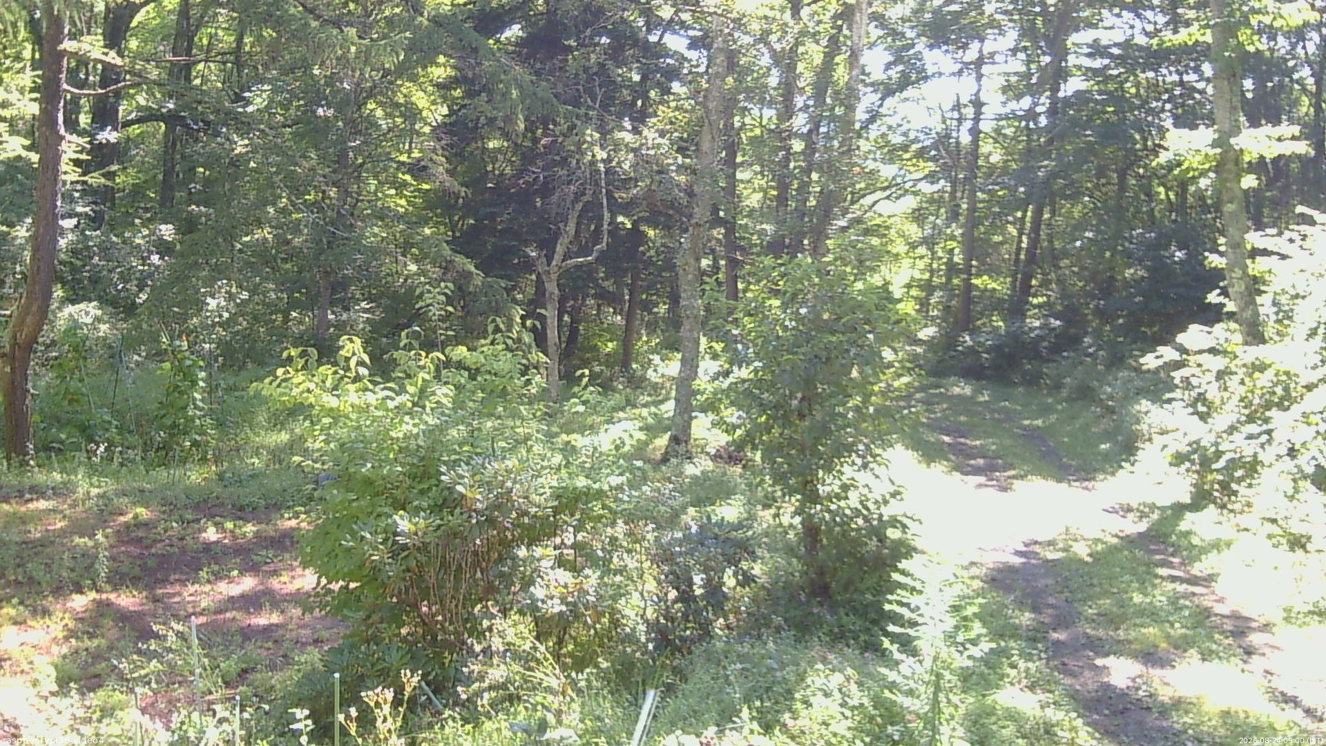 長野県菅平高原 ゆたか山荘 坂上 2026/08/24 09:00