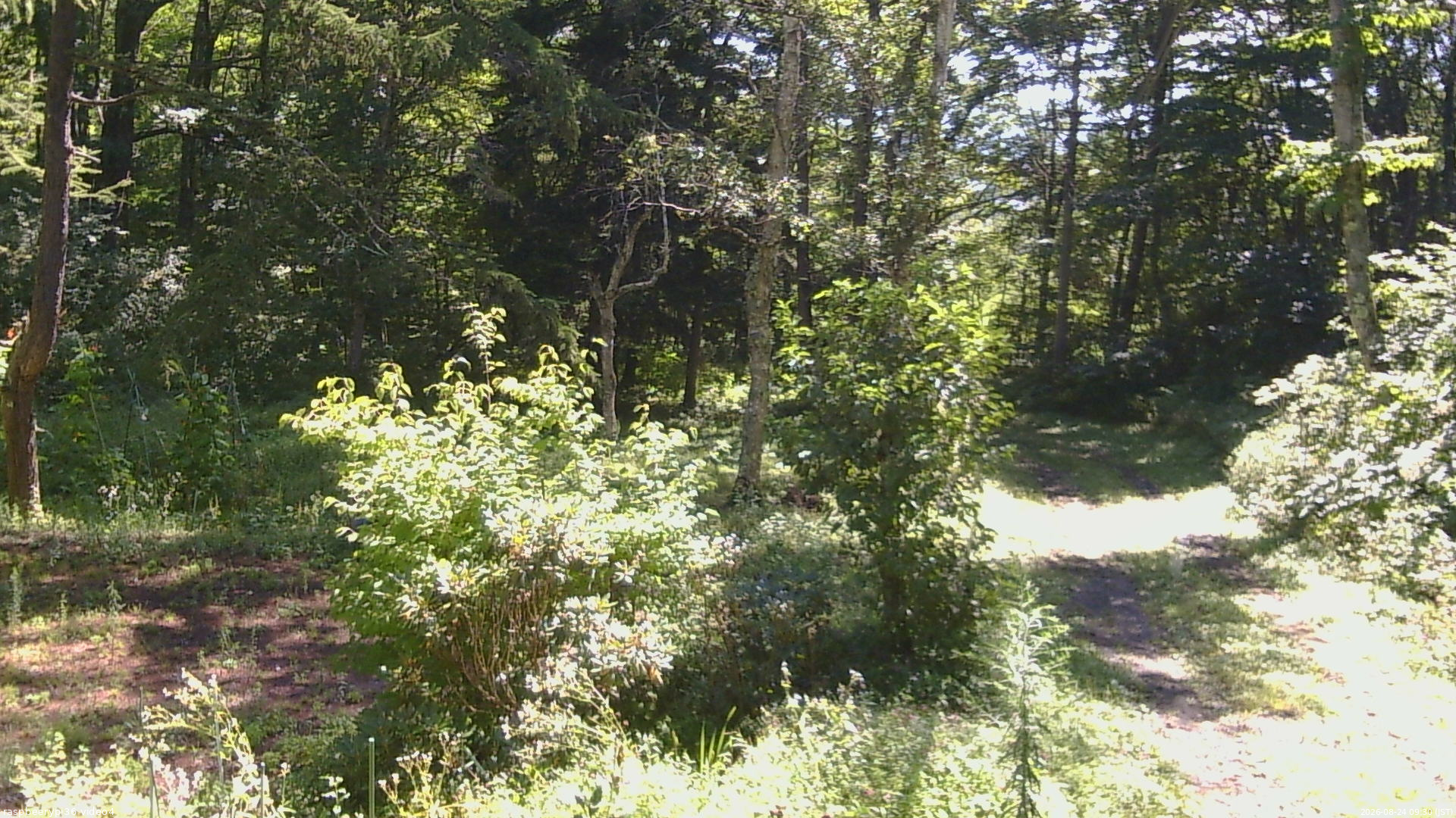 長野県菅平高原 ゆたか山荘 坂上 2026/08/24 09:30