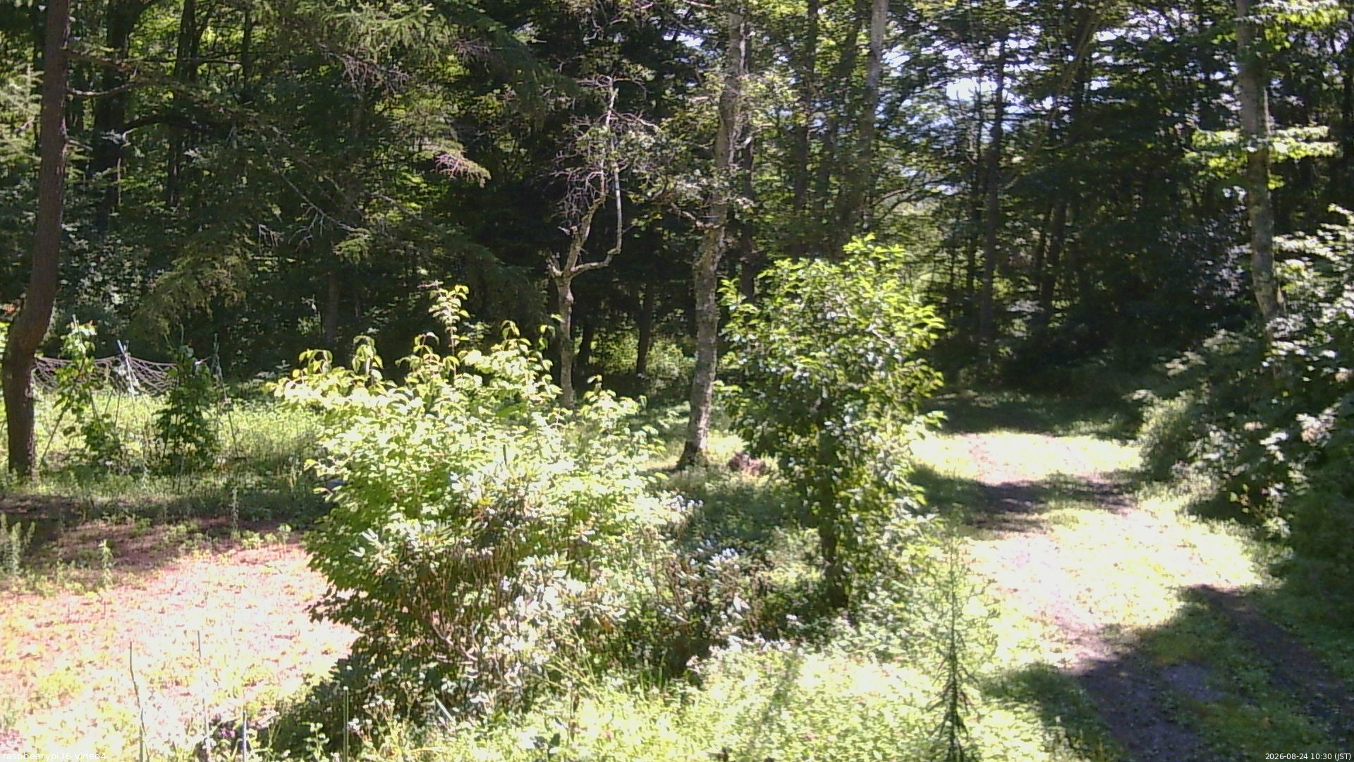 長野県菅平高原 ゆたか山荘 坂上 2026/08/24 10:30