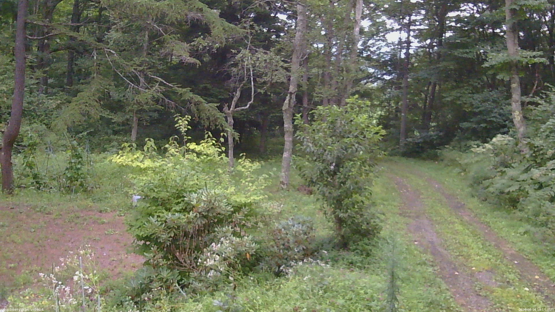 長野県菅平高原 ゆたか山荘 坂上 2026/08/24 18:15