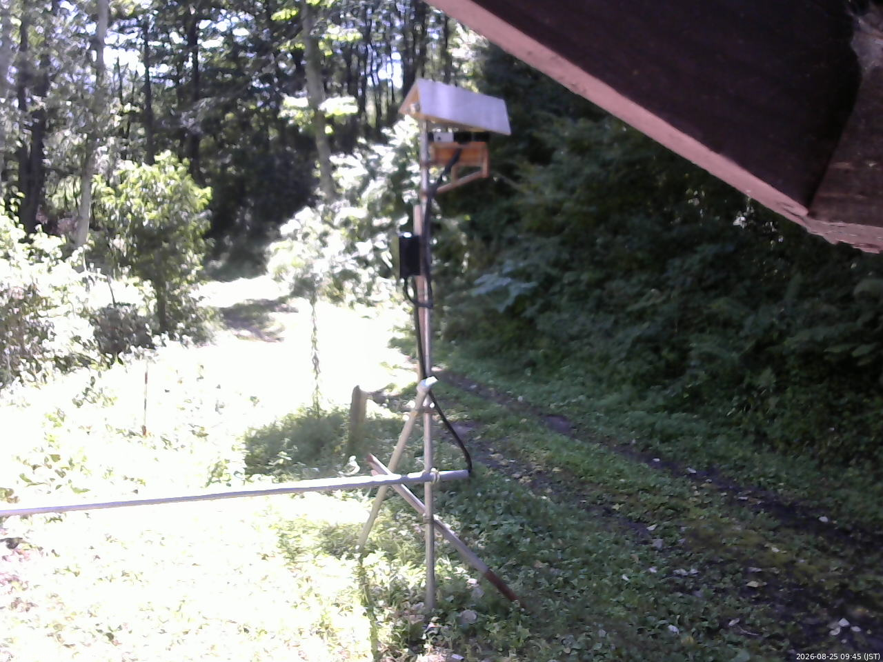 長野県菅平高原 ゆたか山荘 南側 2026/08/25 09:45
