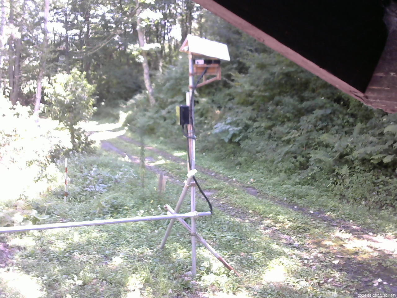 長野県菅平高原 ゆたか山荘 南側 2026/08/25 11:30