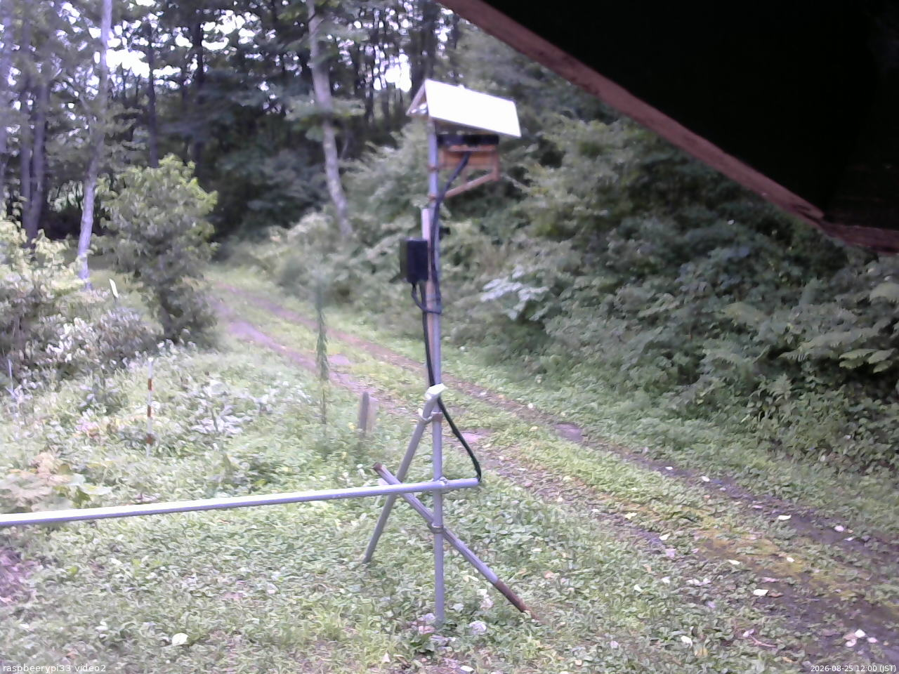 長野県菅平高原 ゆたか山荘 南側 2026/08/25 12:00