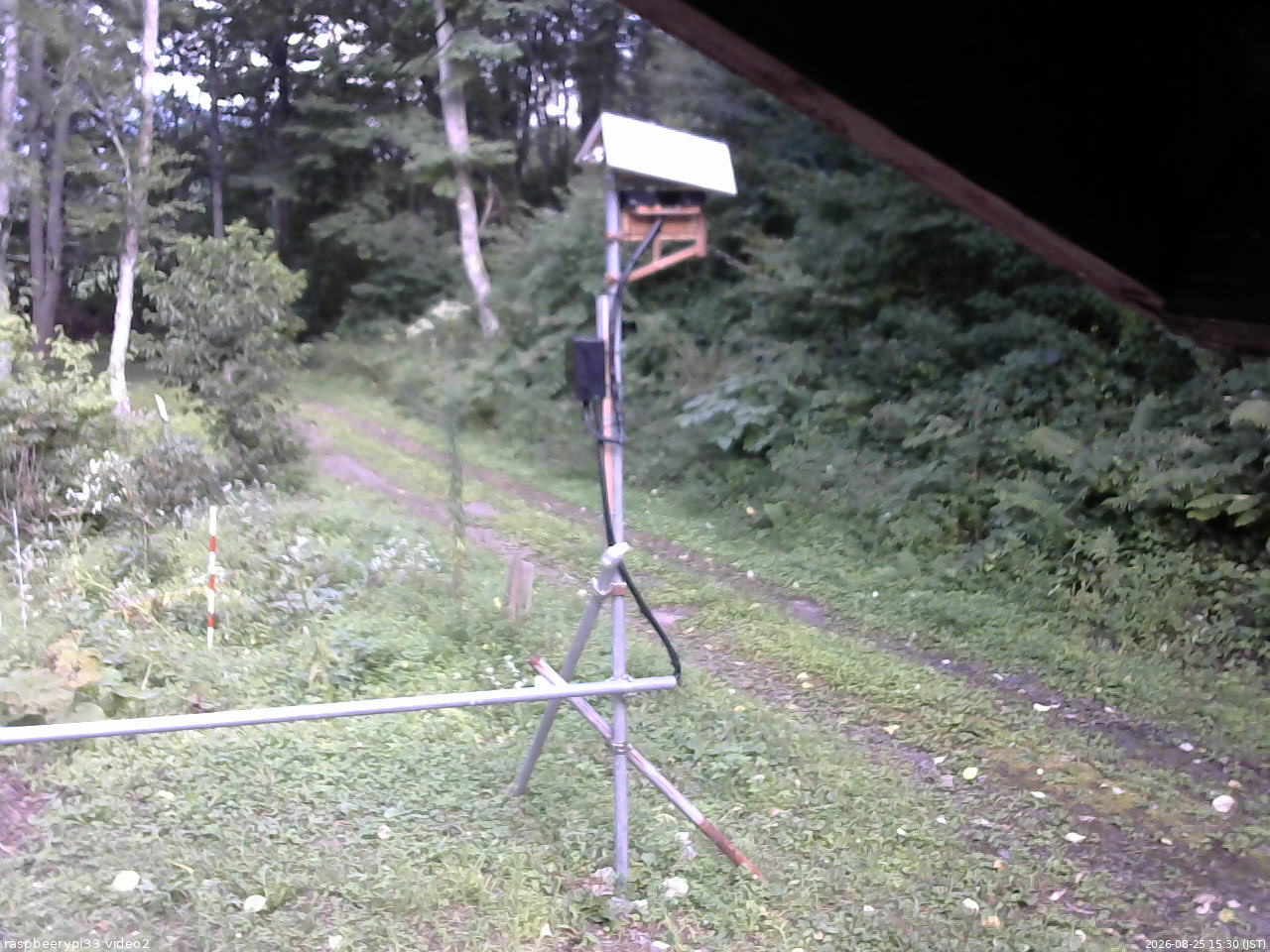 長野県菅平高原 ゆたか山荘 南側 2026/08/25 15:30