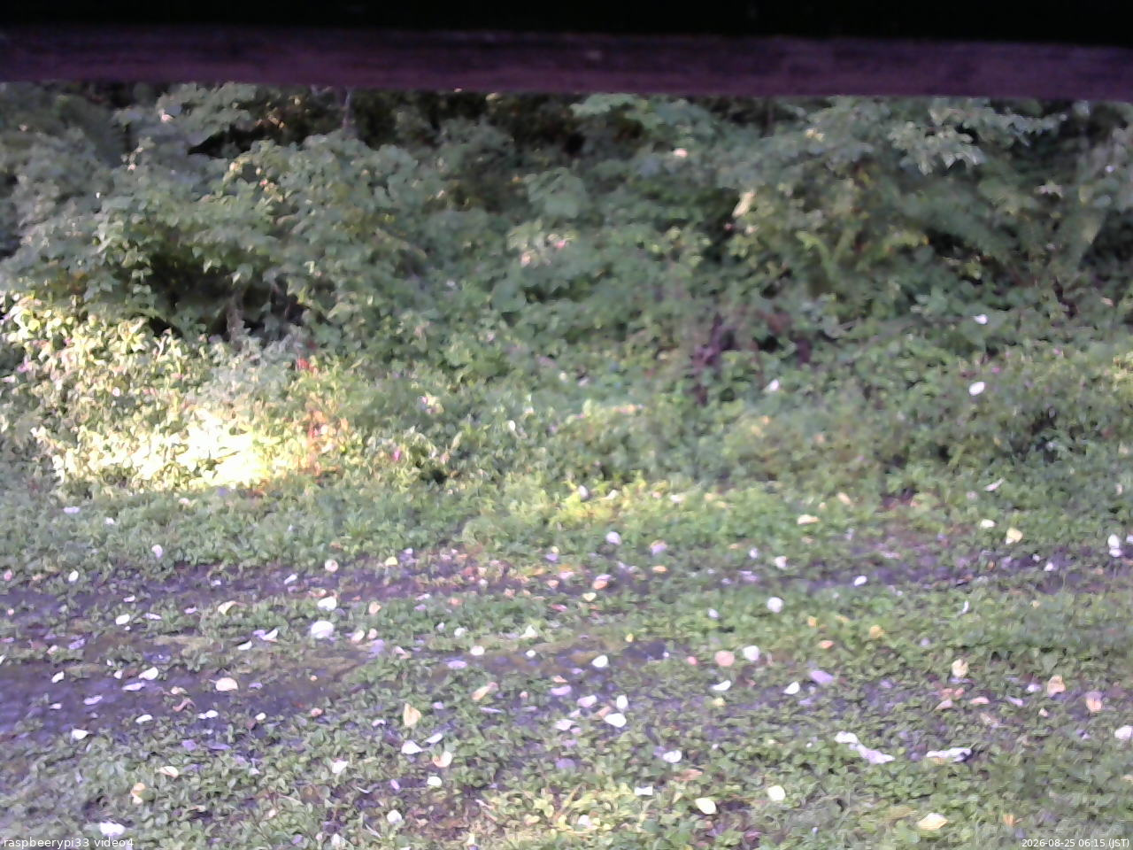 長野県菅平高原 ゆたか山荘 東側(坂下) 2026/08/25 06:15