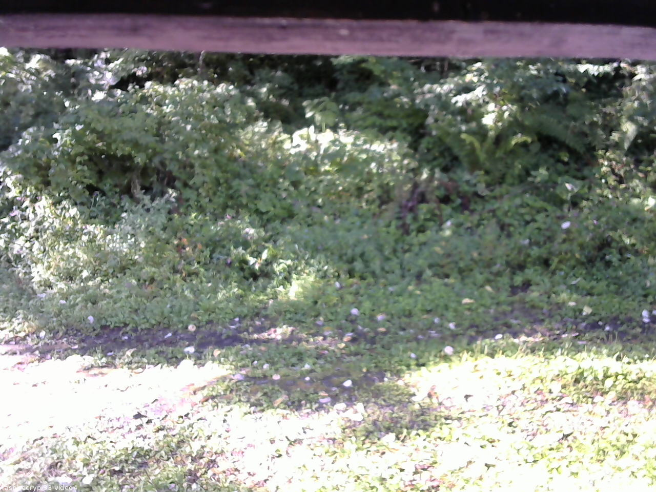 長野県菅平高原 ゆたか山荘 東側(坂下) 2026/08/25 07:30