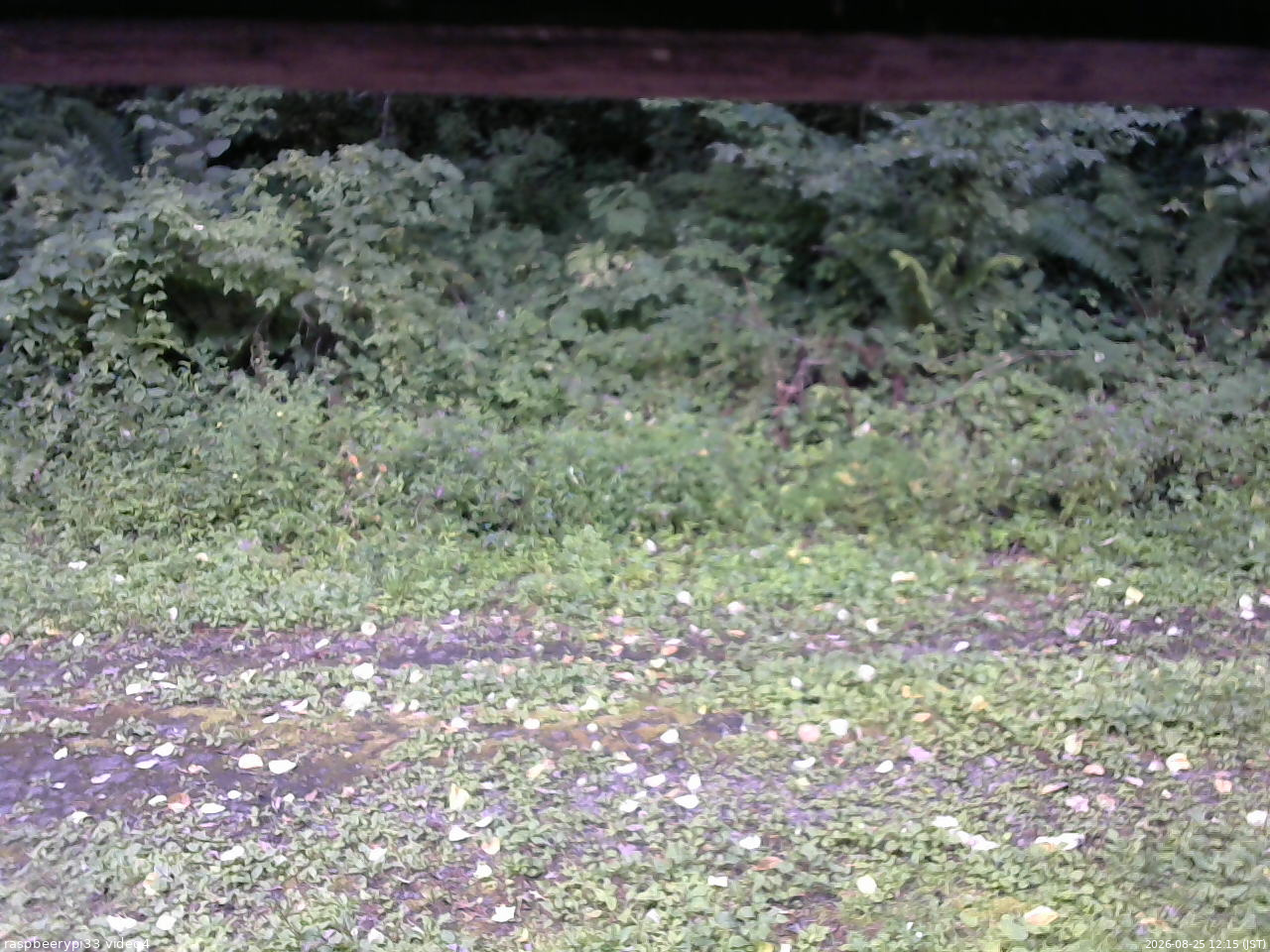 長野県菅平高原 ゆたか山荘 東側(坂下) 2026/08/25 12:15