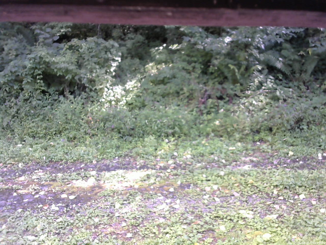 長野県菅平高原 ゆたか山荘 東側(坂下) 2026/08/25 13:45