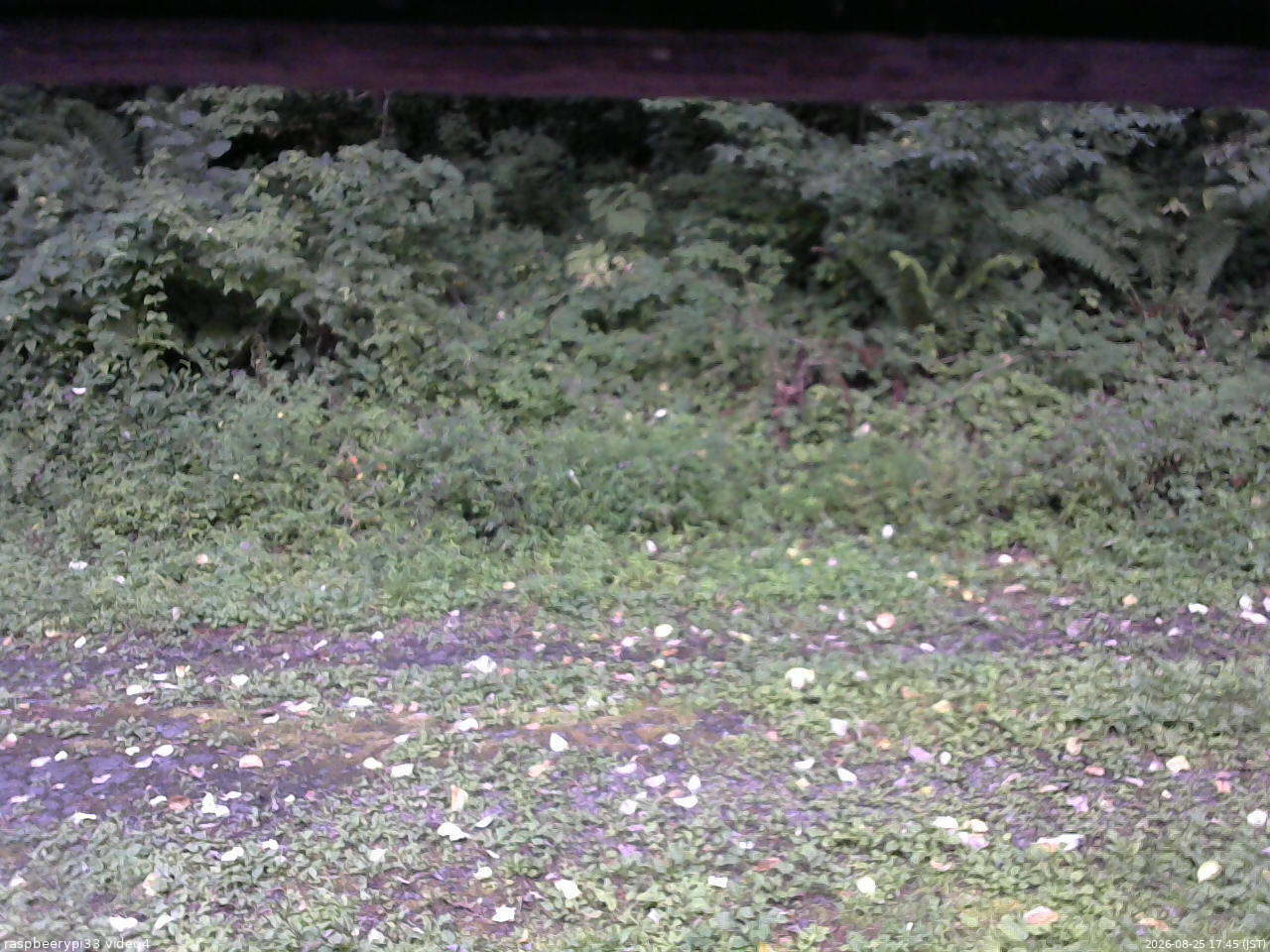 長野県菅平高原 ゆたか山荘 東側(坂下) 2026/08/25 17:45