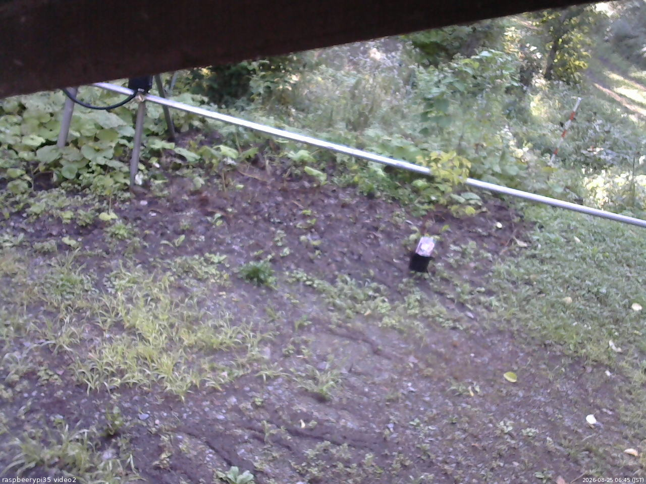 長野県菅平高原 ゆたか山荘 駐車場 2026/08/25 06:45