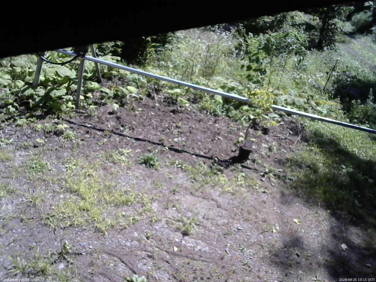長野県菅平高原 ゆたか山荘 駐車場 2026/08/25 10:15