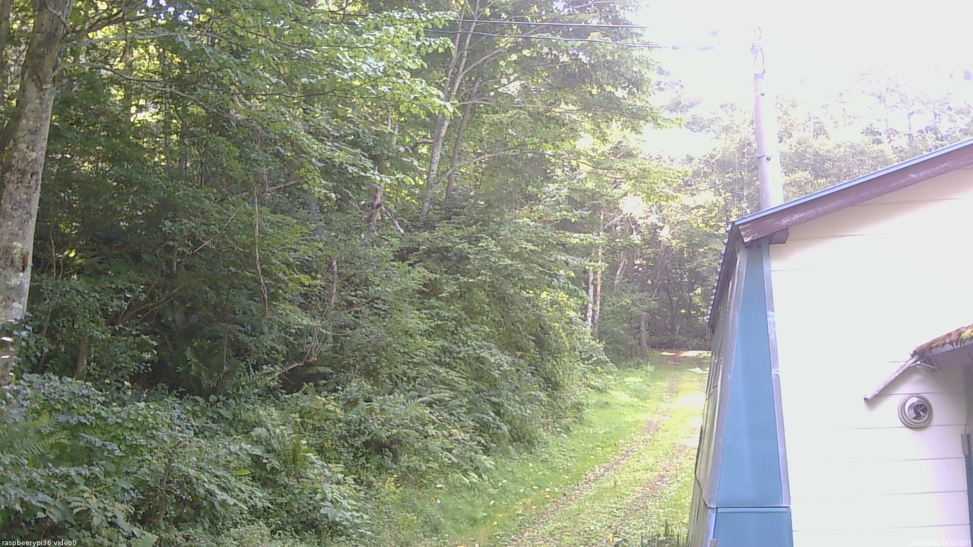 長野県菅平高原 ゆたか山荘 ゆたか山荘 2026/08/25 14:00