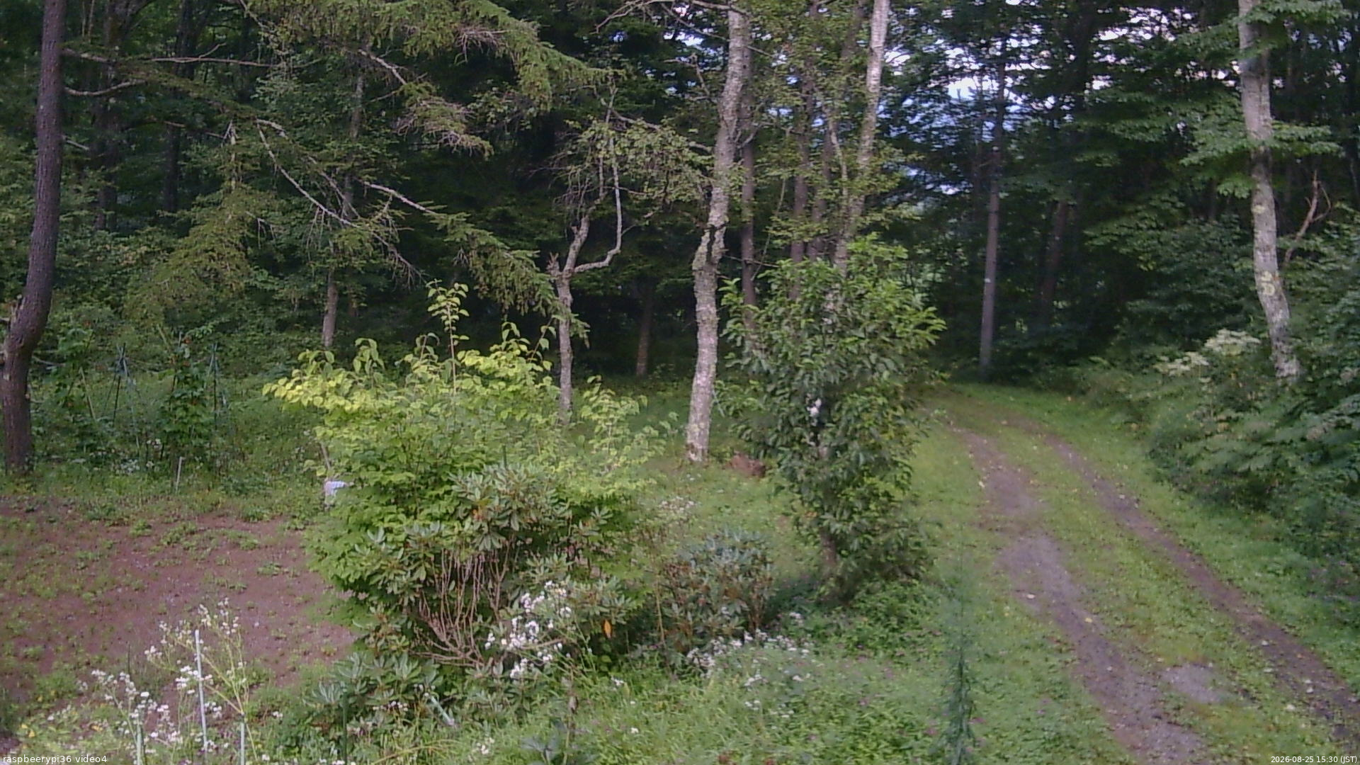 長野県菅平高原 ゆたか山荘 坂上 2026/08/25 15:30