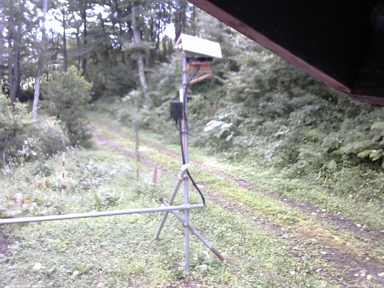 長野県菅平高原 ゆたか山荘 南側 2026/08/26 07:15