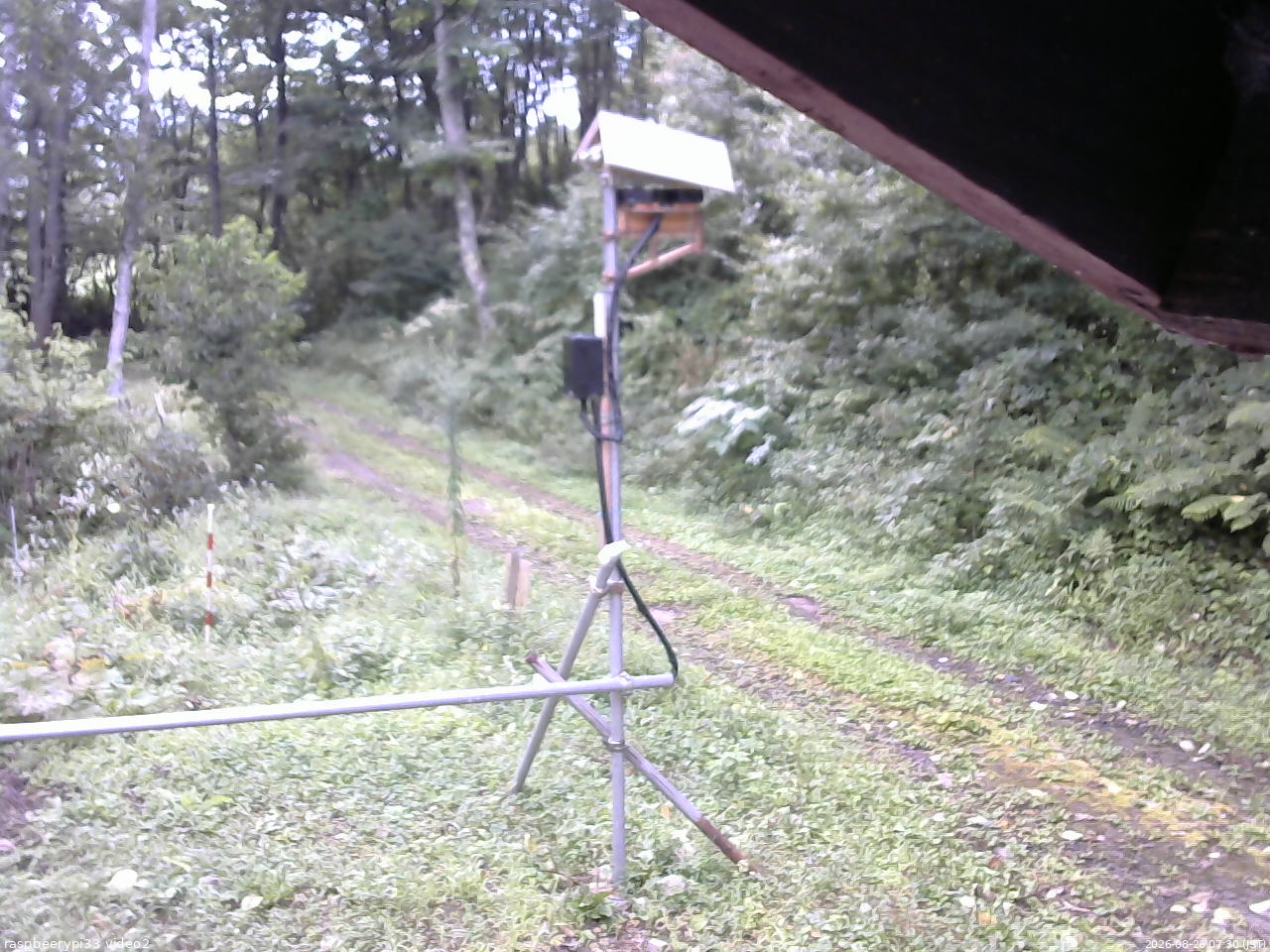 長野県菅平高原 ゆたか山荘 南側 2026/08/26 07:30