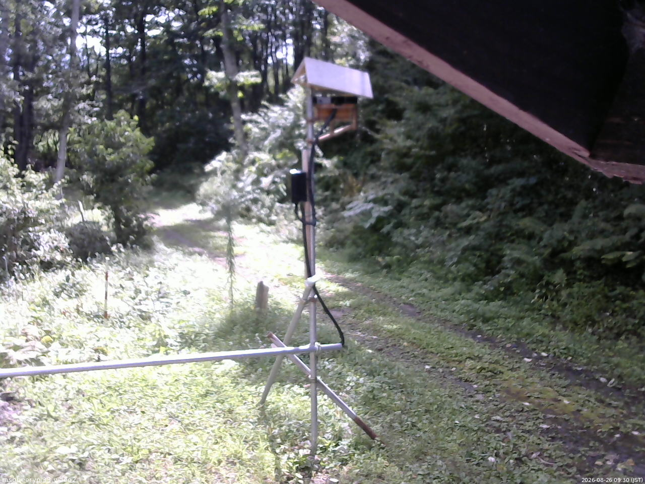 長野県菅平高原 ゆたか山荘 南側 2026/08/26 09:30