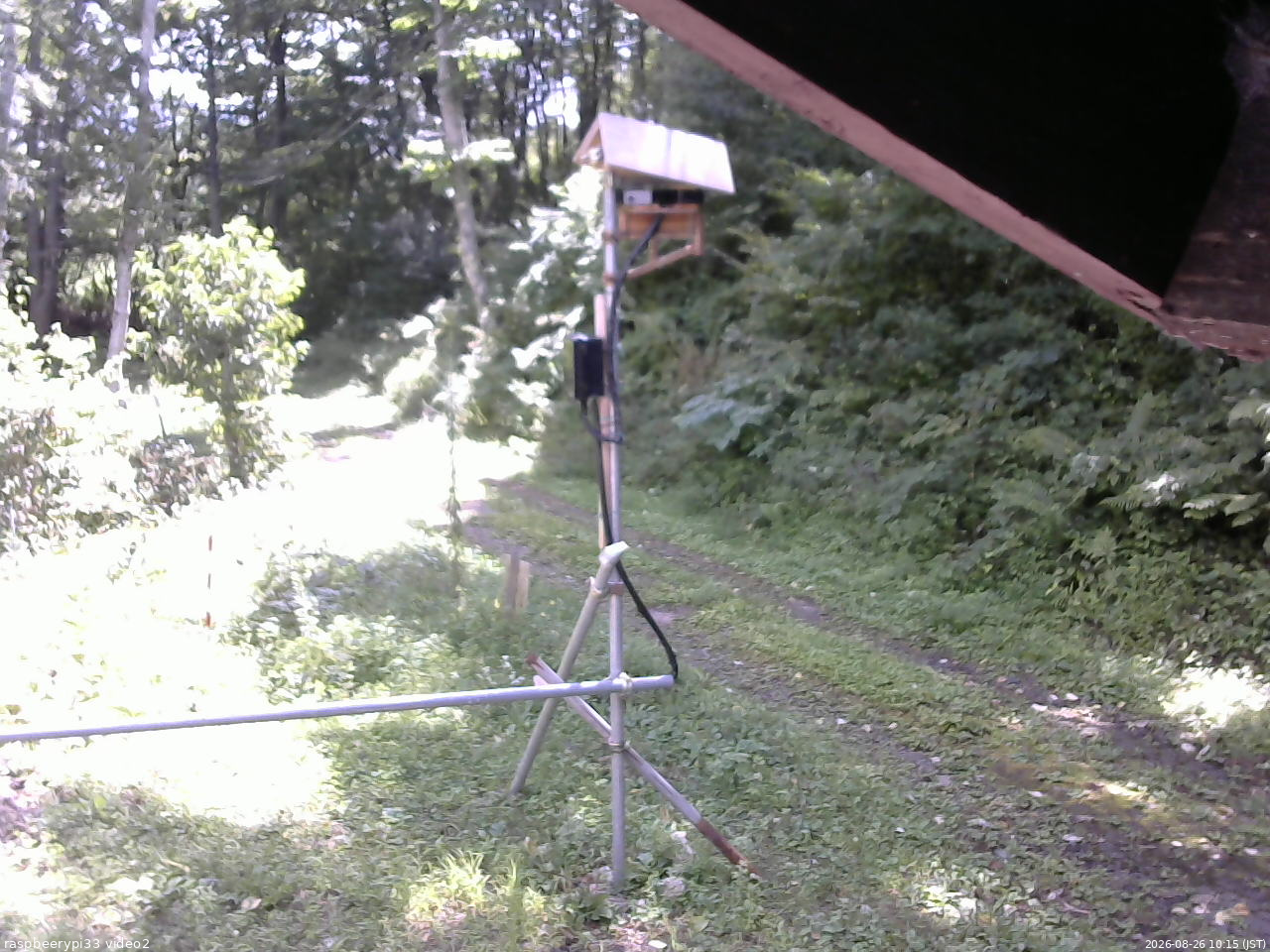長野県菅平高原 ゆたか山荘 南側 2026/08/26 10:15