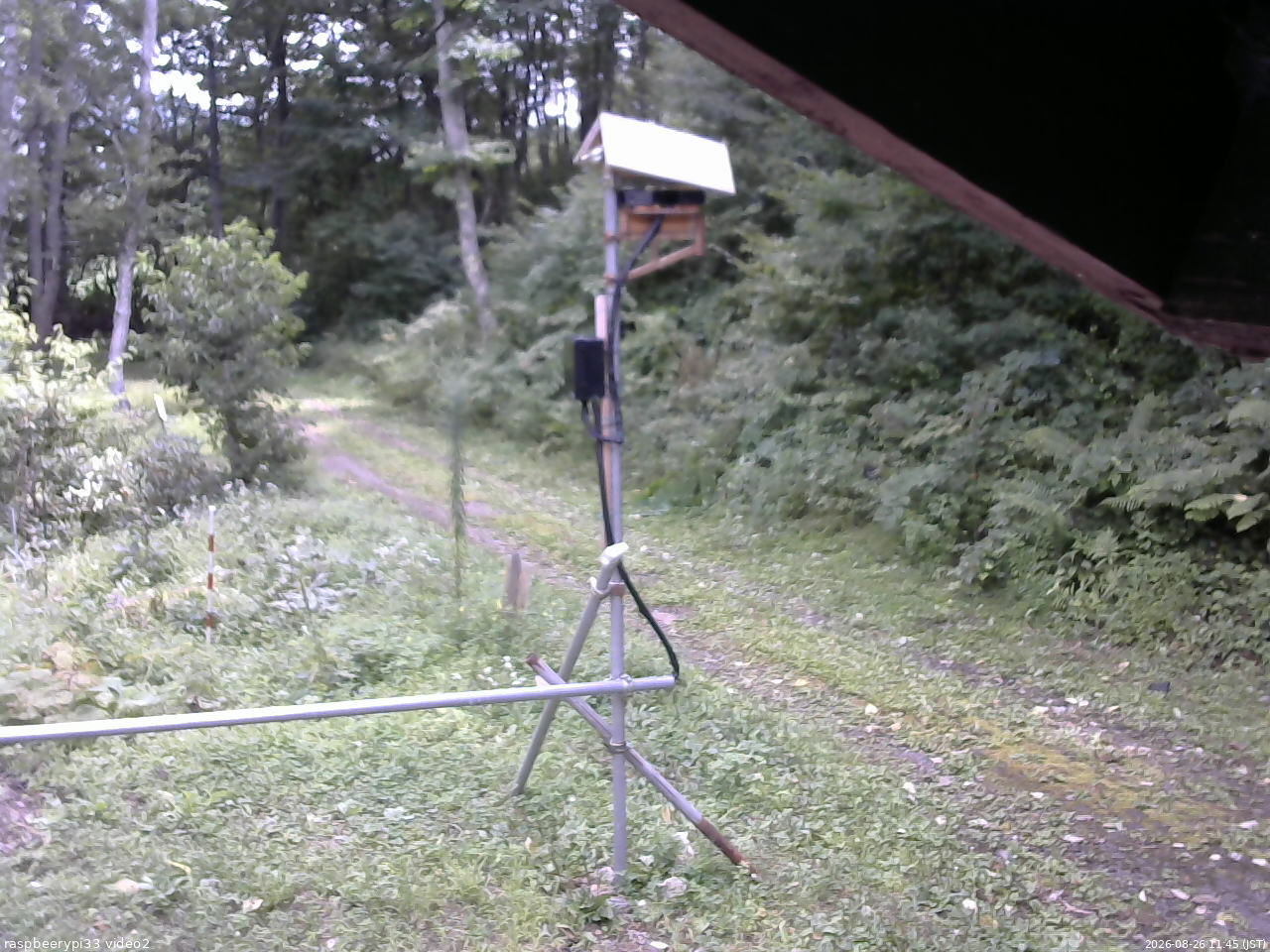 長野県菅平高原 ゆたか山荘 南側 2026/08/26 11:45