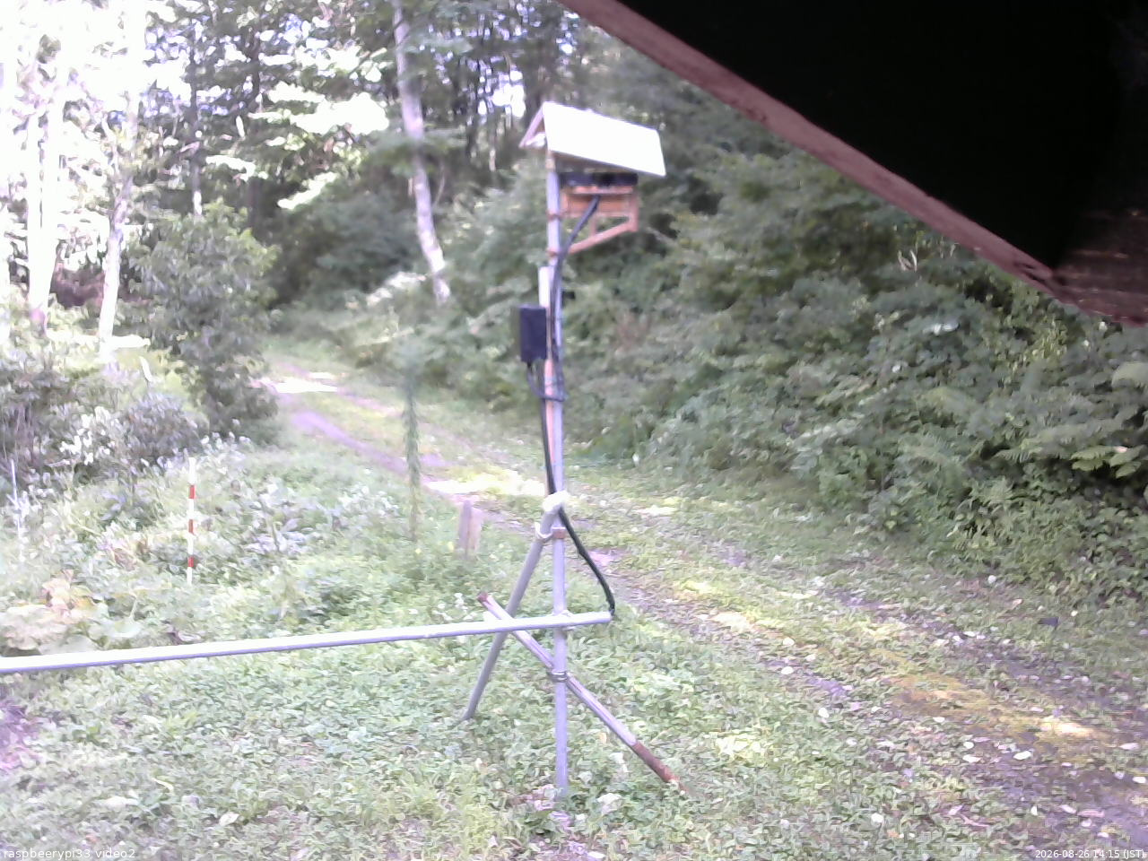 長野県菅平高原 ゆたか山荘 南側 2026/08/26 14:15