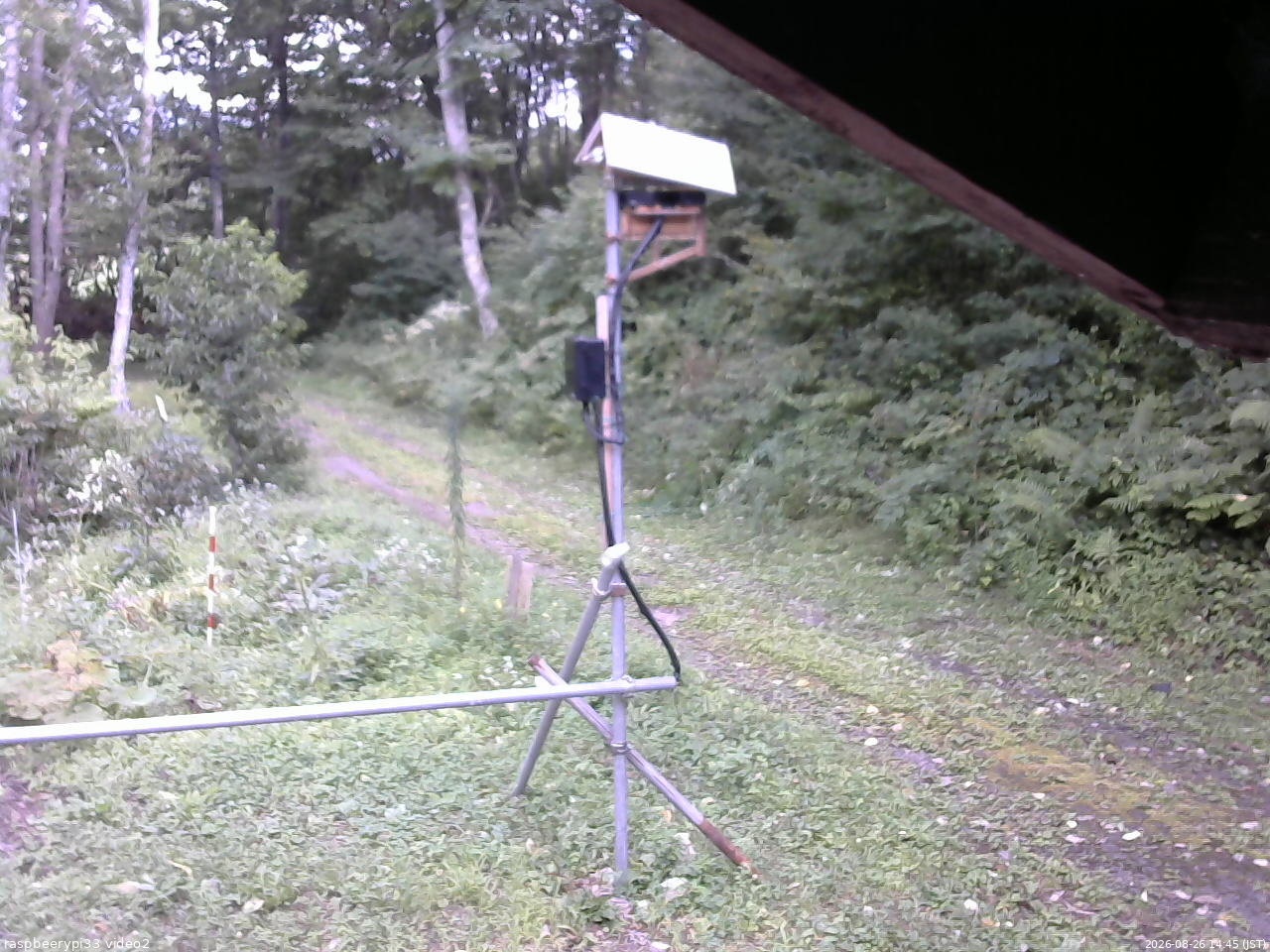 長野県菅平高原 ゆたか山荘 南側 2026/08/26 14:45