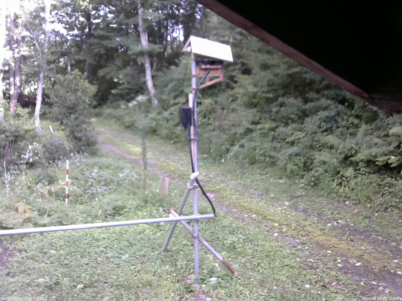長野県菅平高原 ゆたか山荘 南側 2026/08/26 15:15
