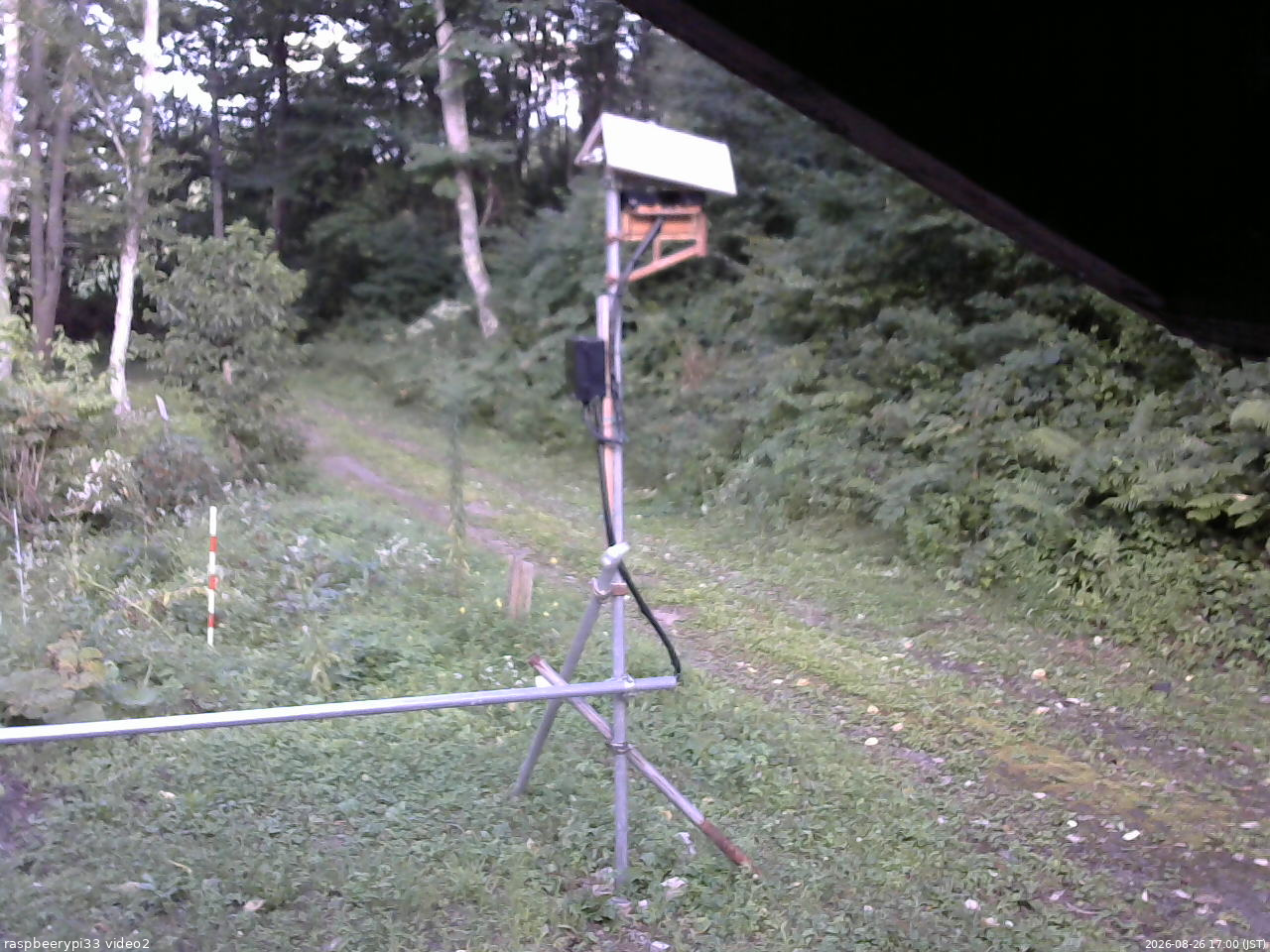 長野県菅平高原 ゆたか山荘 南側 2026/08/26 17:00