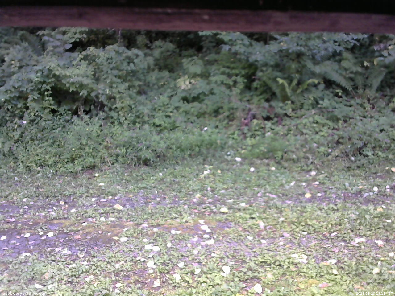 長野県菅平高原 ゆたか山荘 東側(坂下) 2026/08/26 13:15
