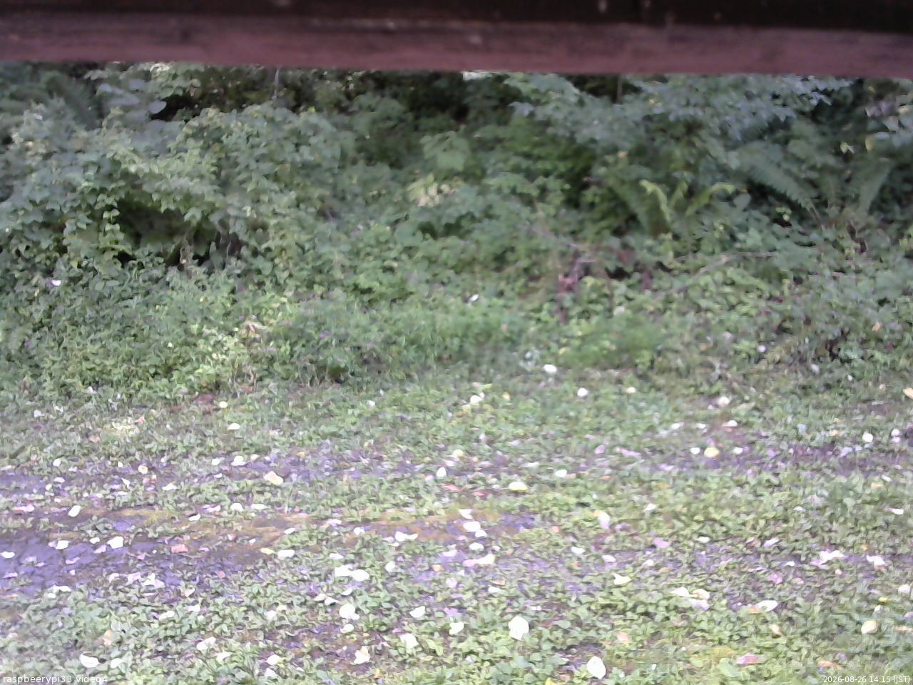 長野県菅平高原 ゆたか山荘 東側(坂下) 2026/08/26 14:15