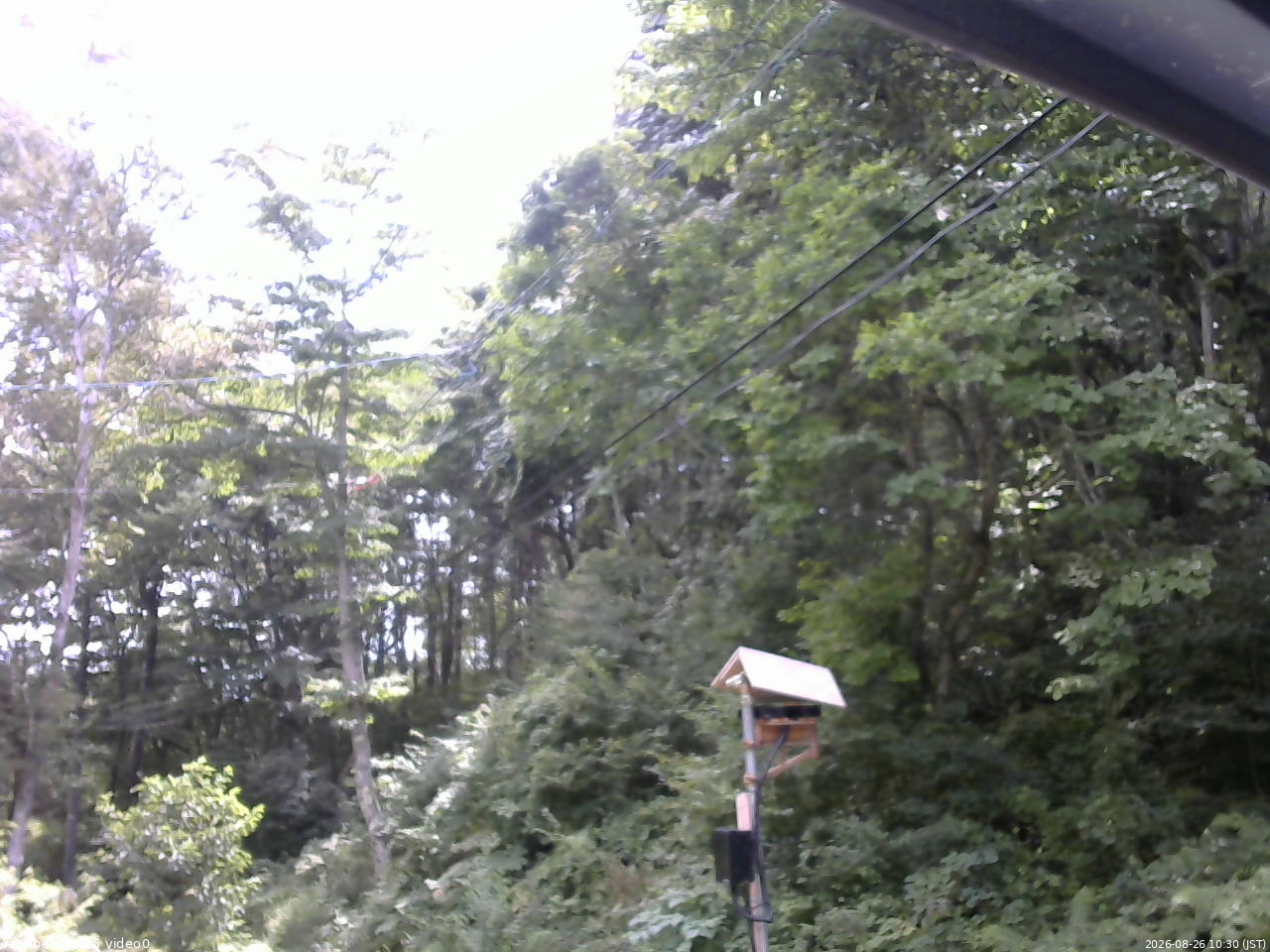 長野県菅平高原 ゆたか山荘 温度計 2026/08/26 10:30