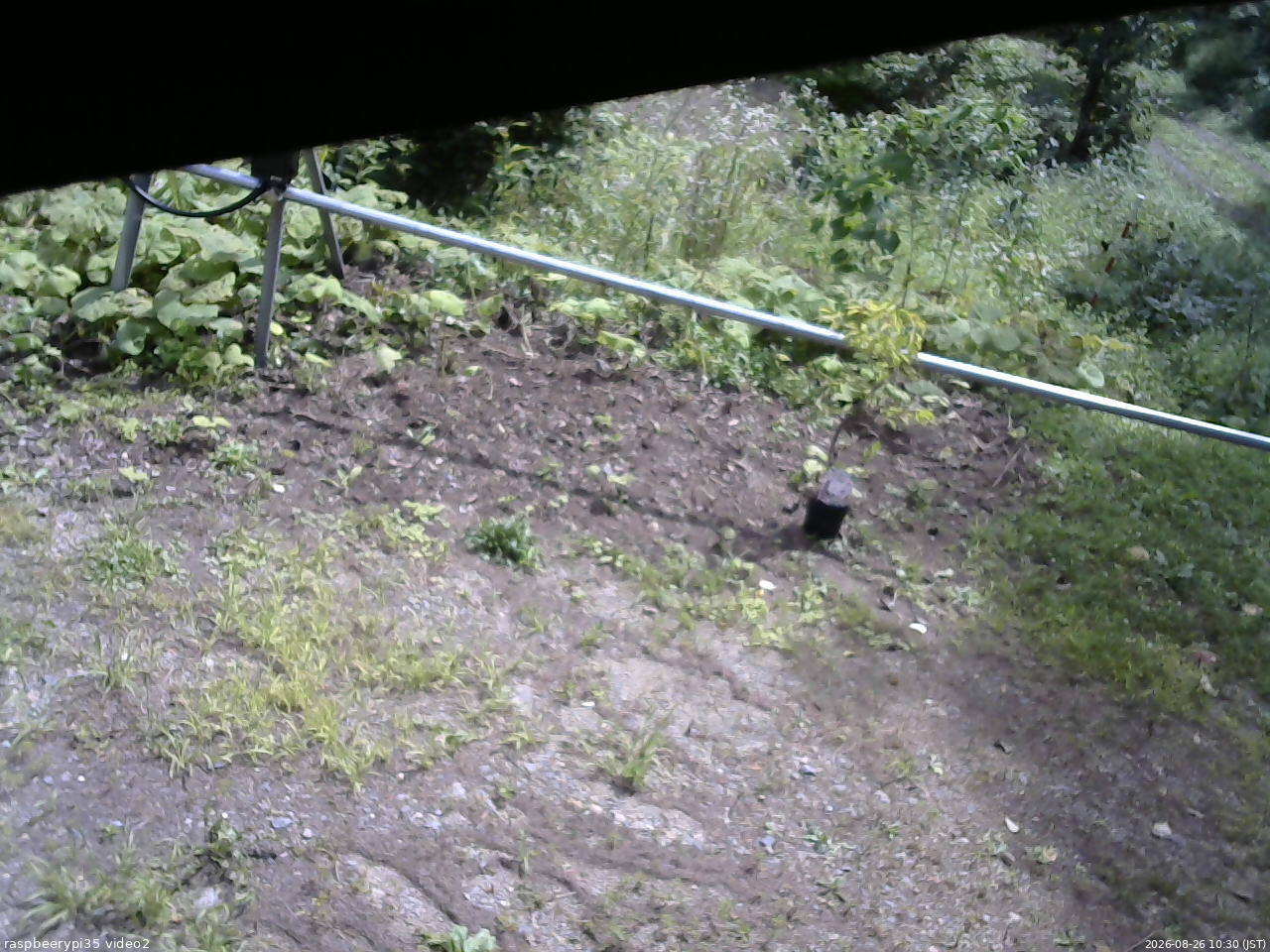 長野県菅平高原 ゆたか山荘 駐車場 2026/08/26 10:30