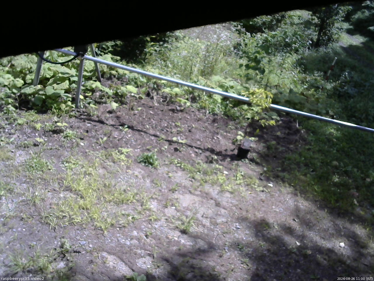 長野県菅平高原 ゆたか山荘 駐車場 2026/08/26 11:00