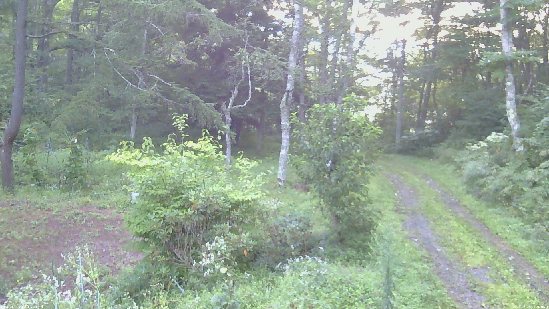 長野県菅平高原 ゆたか山荘 坂上 2026/08/26 05:30