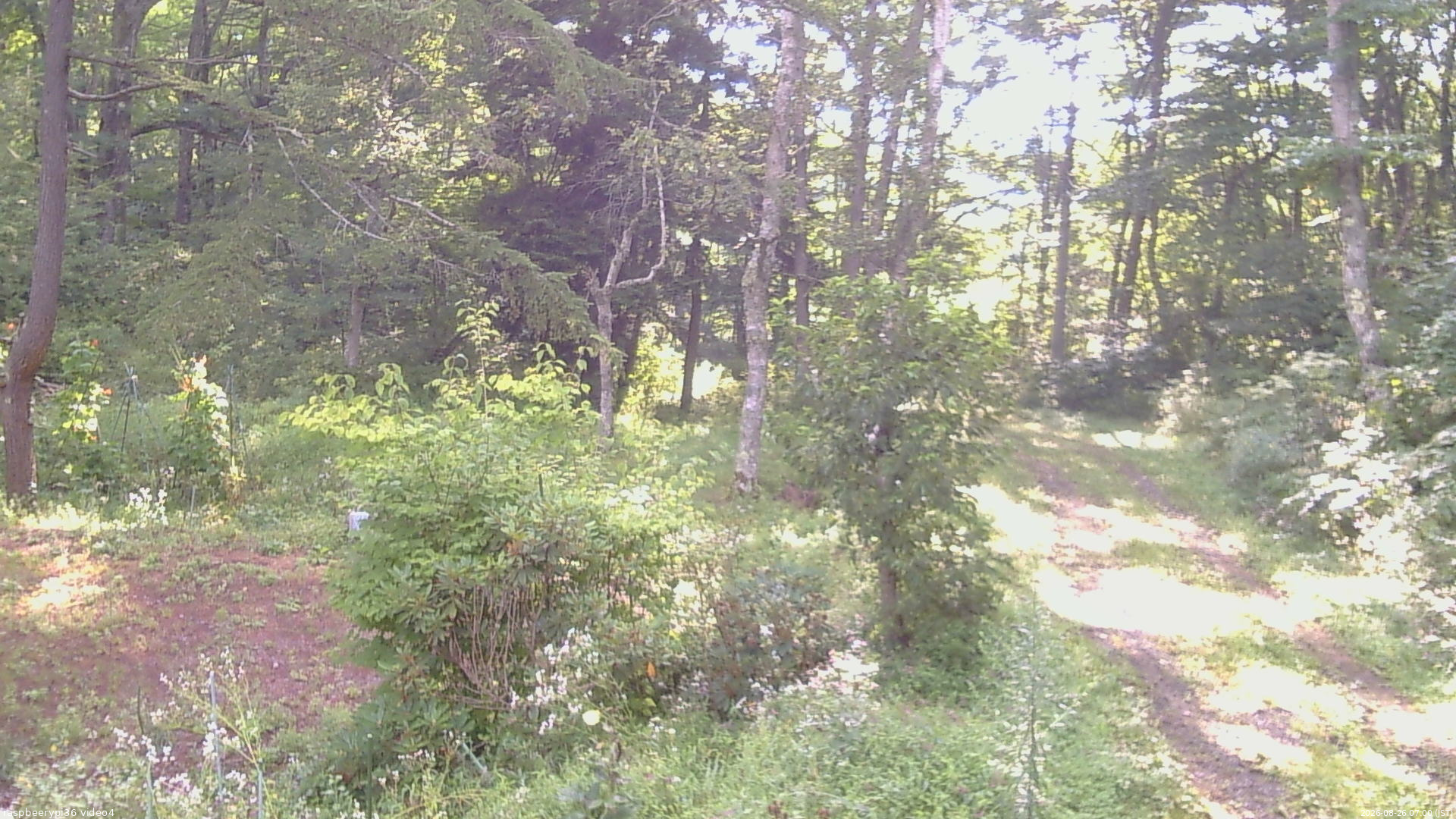 長野県菅平高原 ゆたか山荘 坂上 2026/08/26 07:00