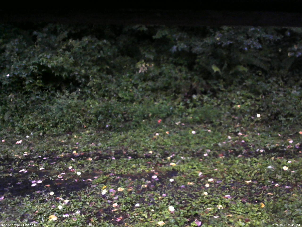 長野県菅平高原 ゆたか山荘 東側(坂下) 2026/08/27 05:45