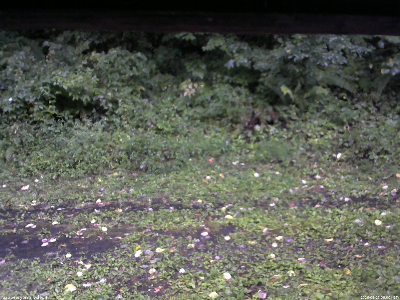 長野県菅平高原 ゆたか山荘 東側(坂下) 2026/08/27 06:00