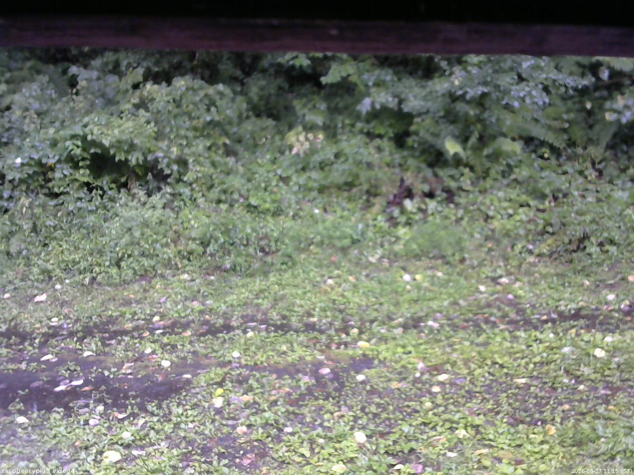 長野県菅平高原 ゆたか山荘 東側(坂下) 2026/08/27 11:15