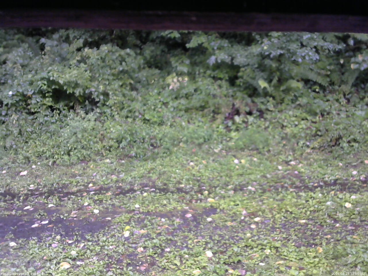 長野県菅平高原 ゆたか山荘 東側(坂下) 2026/08/27 12:00