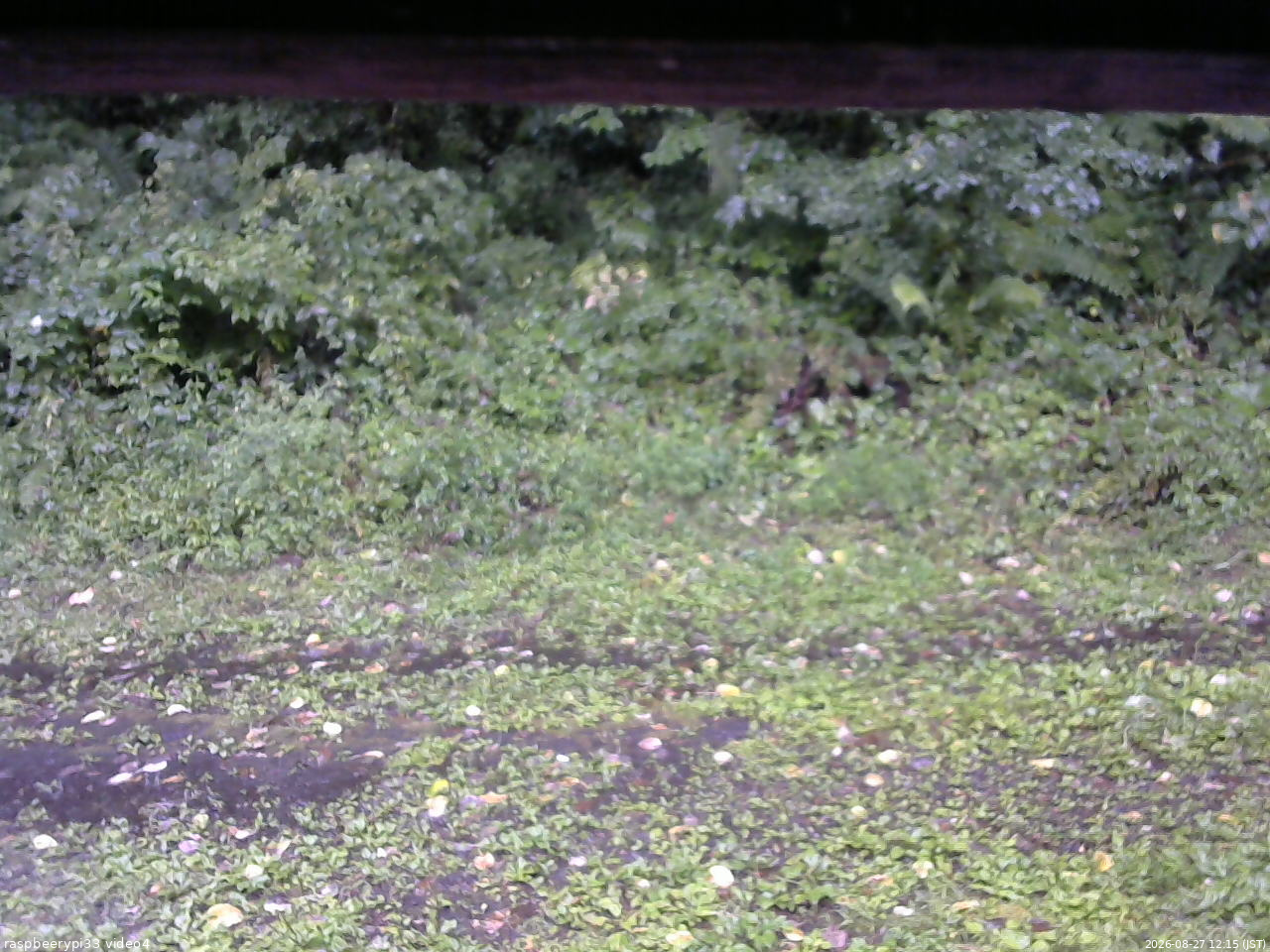 長野県菅平高原 ゆたか山荘 東側(坂下) 2026/08/27 12:15