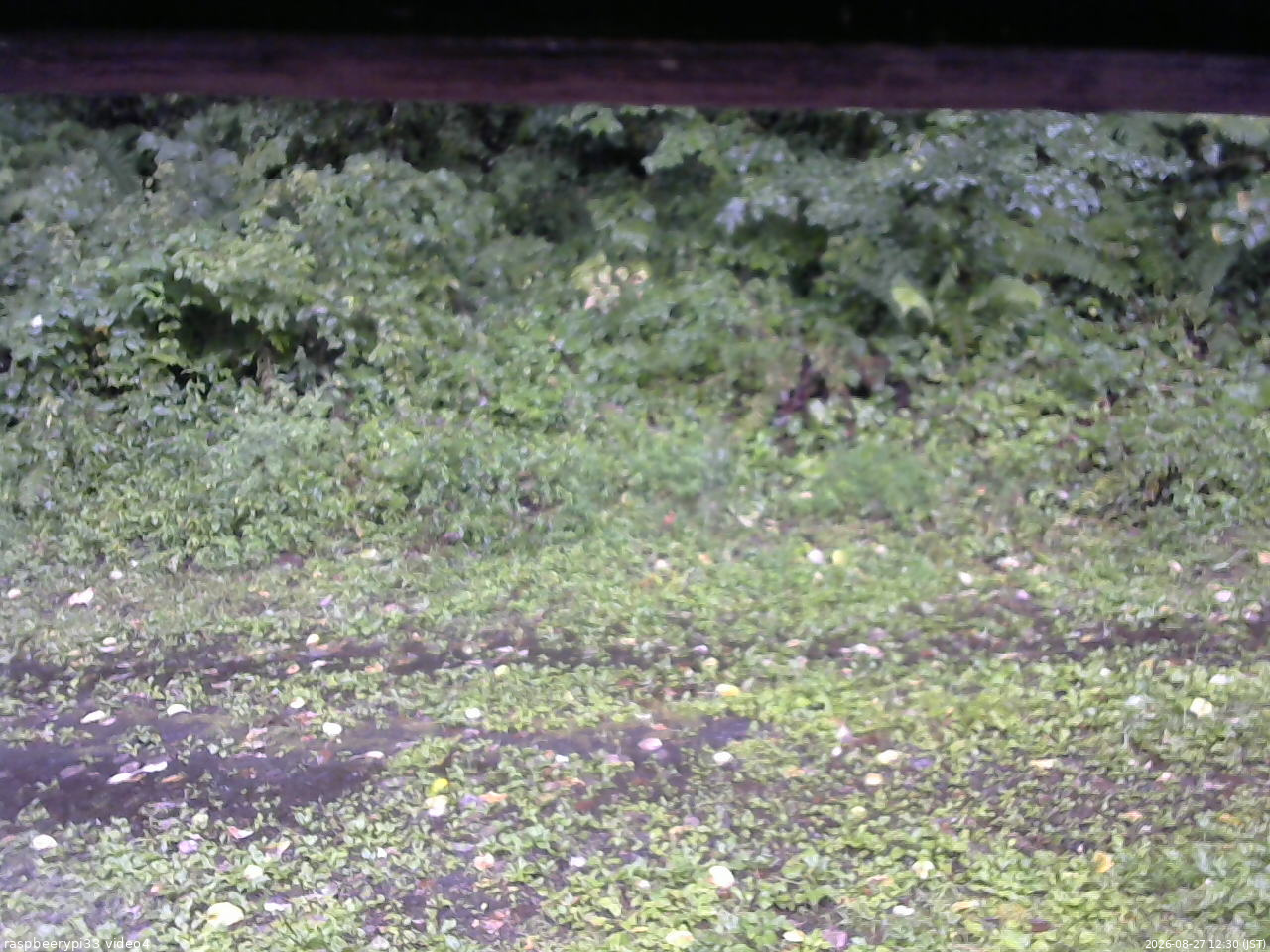 長野県菅平高原 ゆたか山荘 東側(坂下) 2026/08/27 12:30