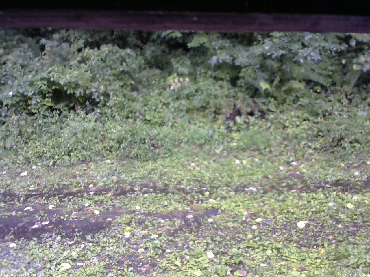 長野県菅平高原 ゆたか山荘 東側(坂下) 2026/08/27 13:15