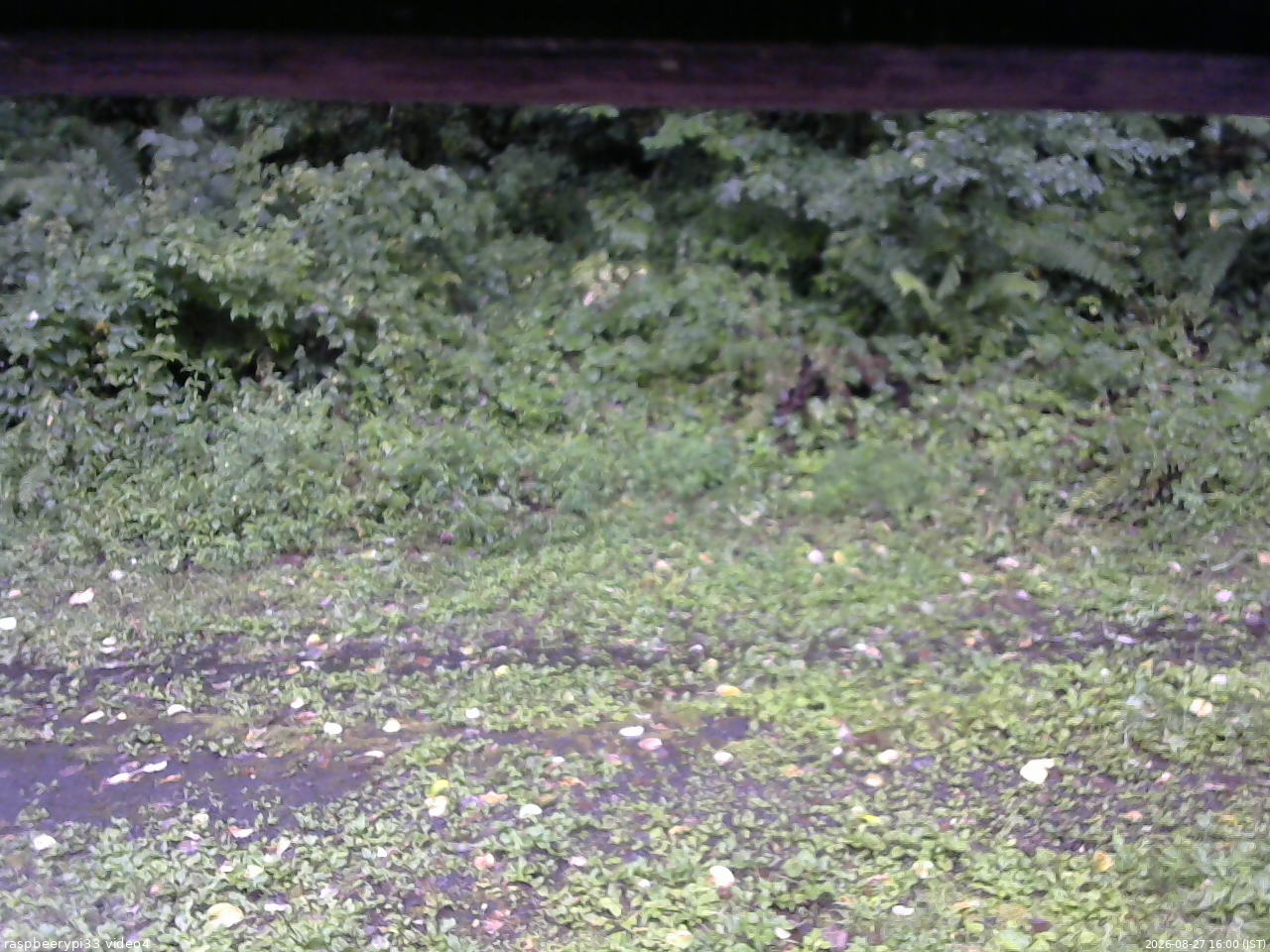 長野県菅平高原 ゆたか山荘 東側(坂下) 2026/08/27 16:00