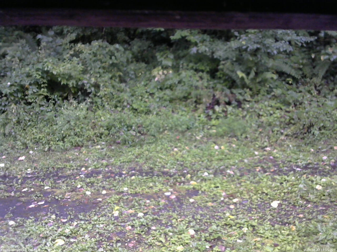 長野県菅平高原 ゆたか山荘 東側(坂下) 2026/08/27 17:15