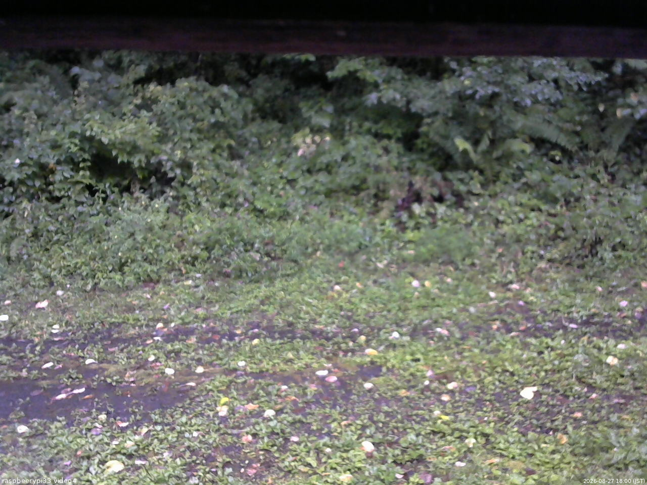 長野県菅平高原 ゆたか山荘 東側(坂下) 2026/08/27 18:00