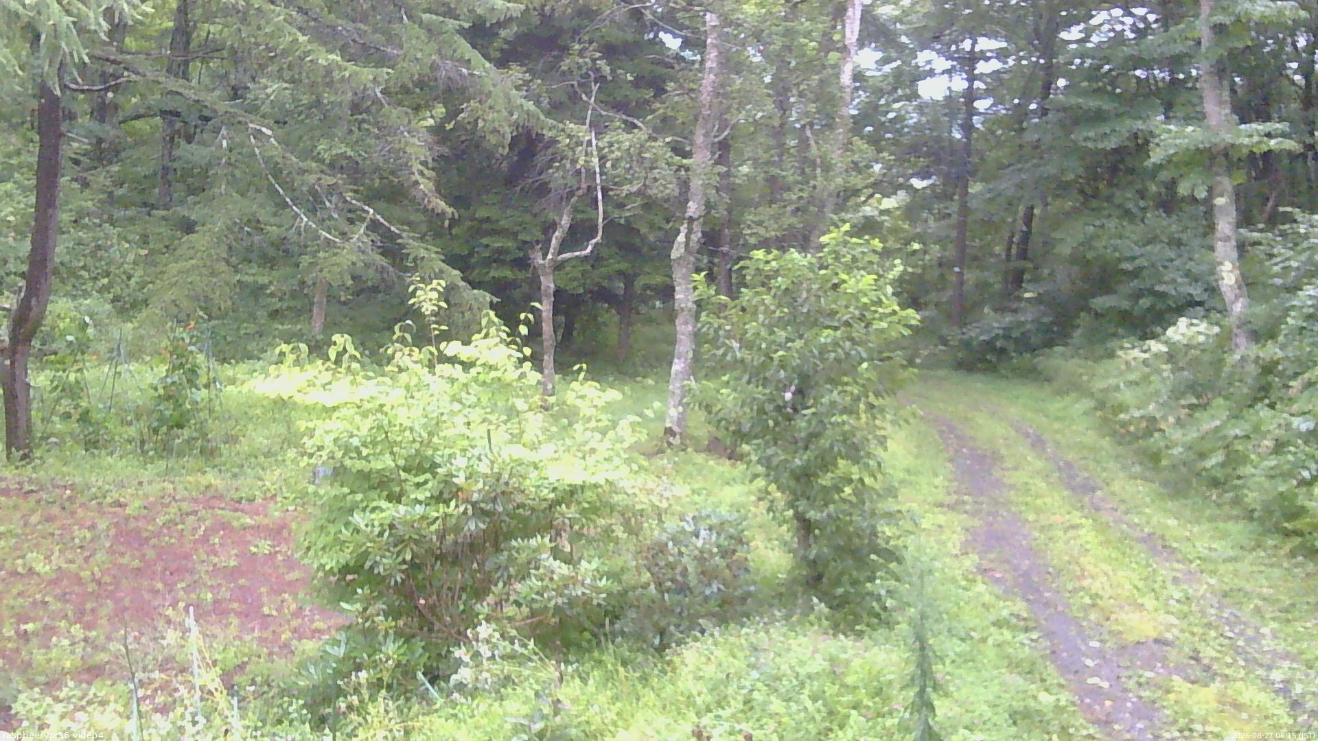 長野県菅平高原 ゆたか山荘 坂上 2026/08/27 06:15