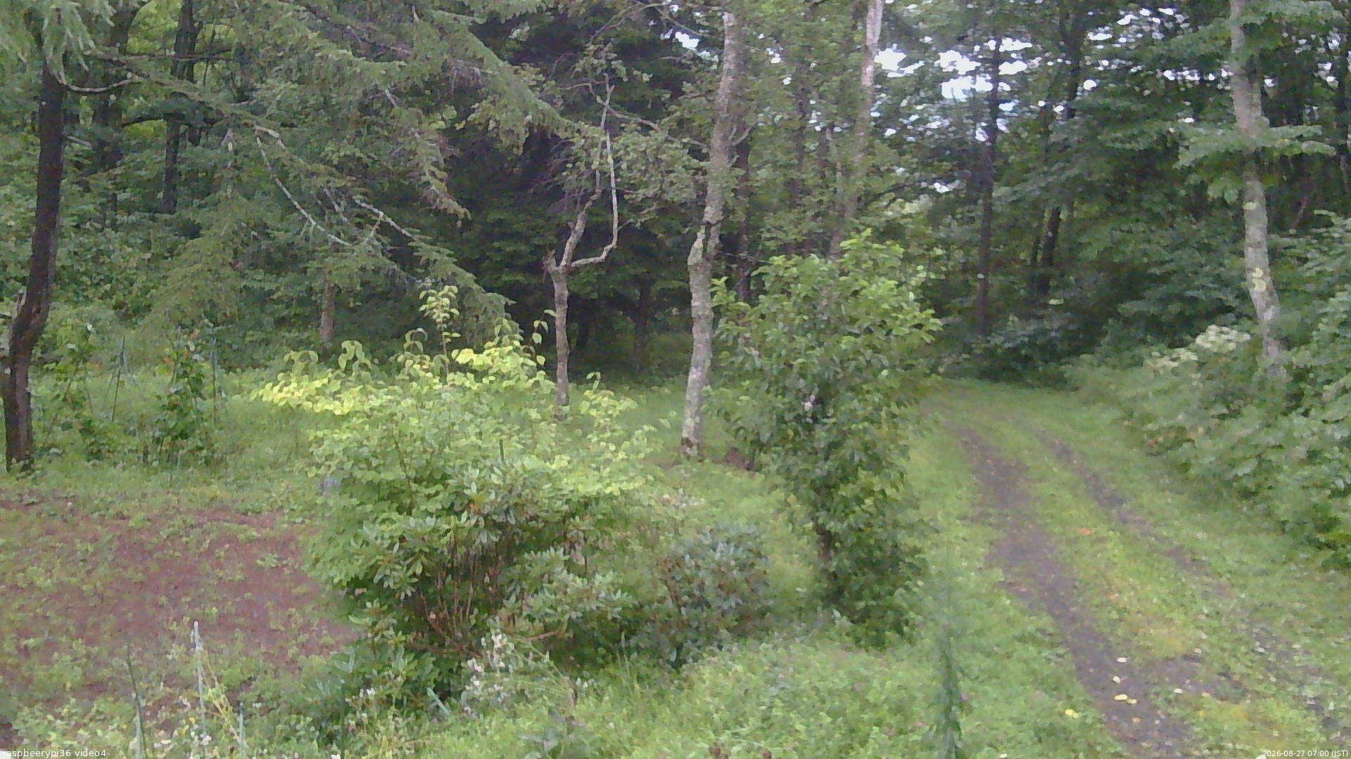 長野県菅平高原 ゆたか山荘 坂上 2026/08/27 07:00