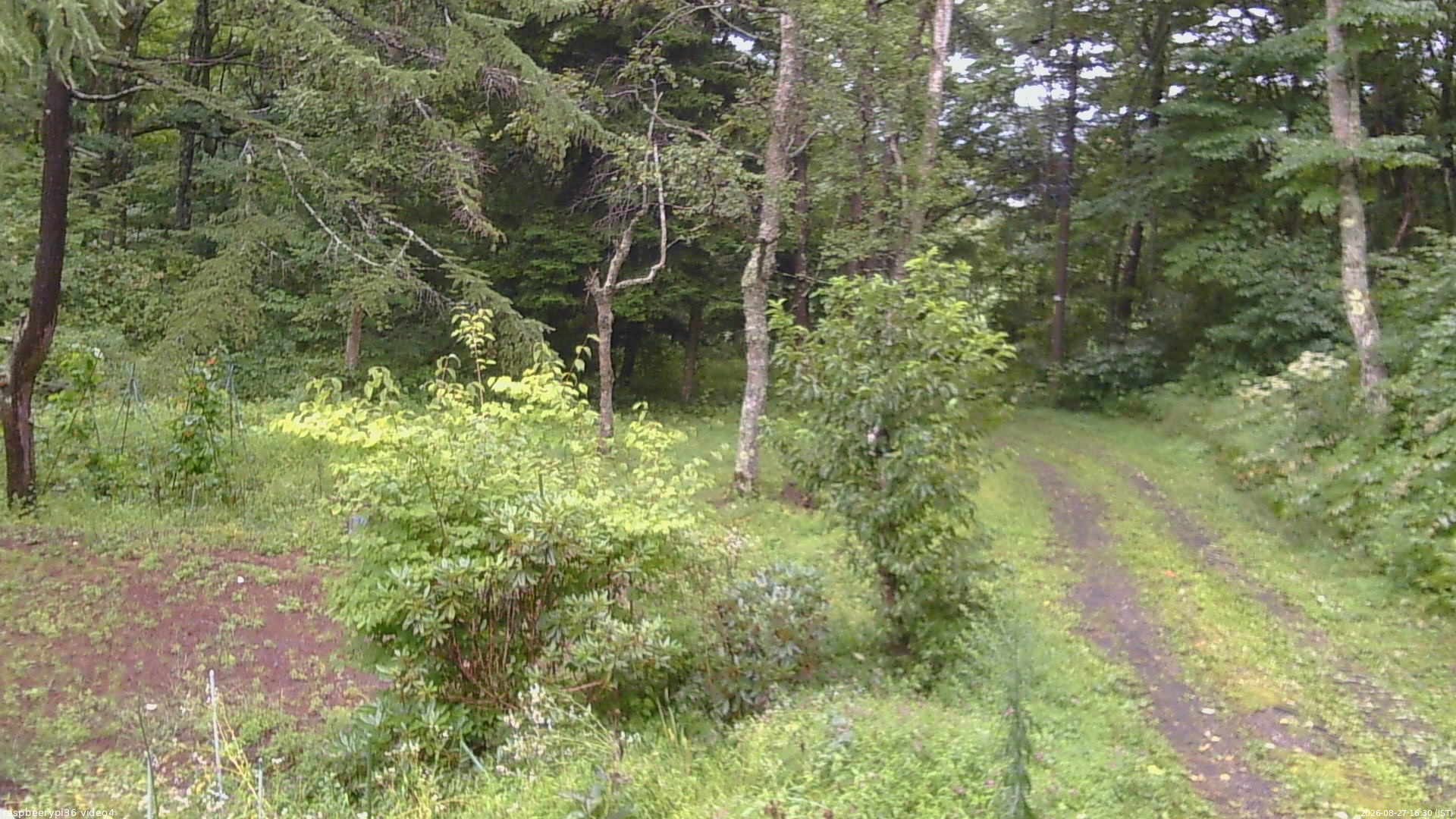長野県菅平高原 ゆたか山荘 坂上 2026/08/27 16:30