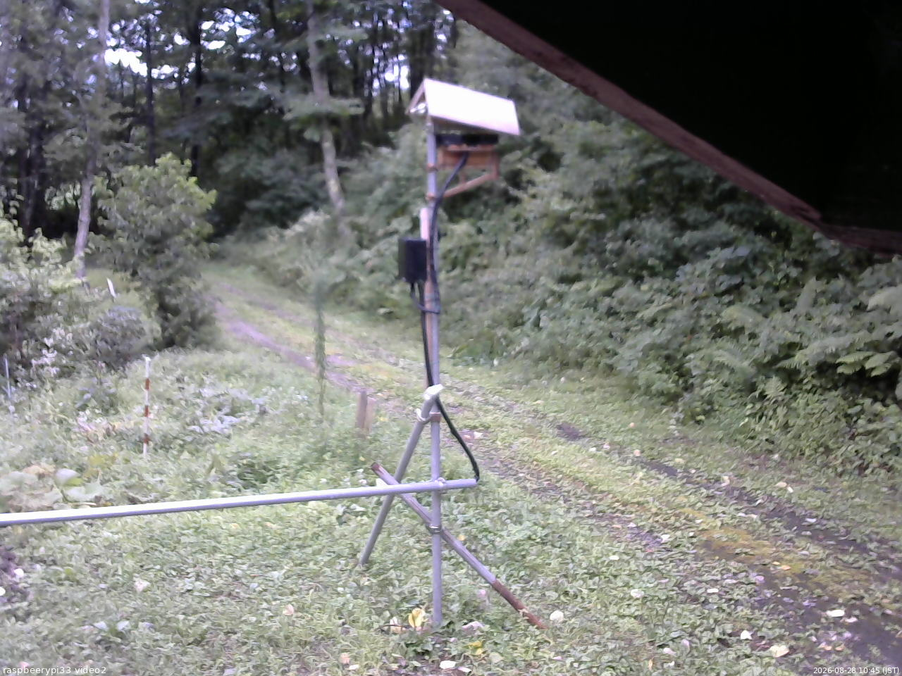 長野県菅平高原 ゆたか山荘 南側 2026/08/28 10:45