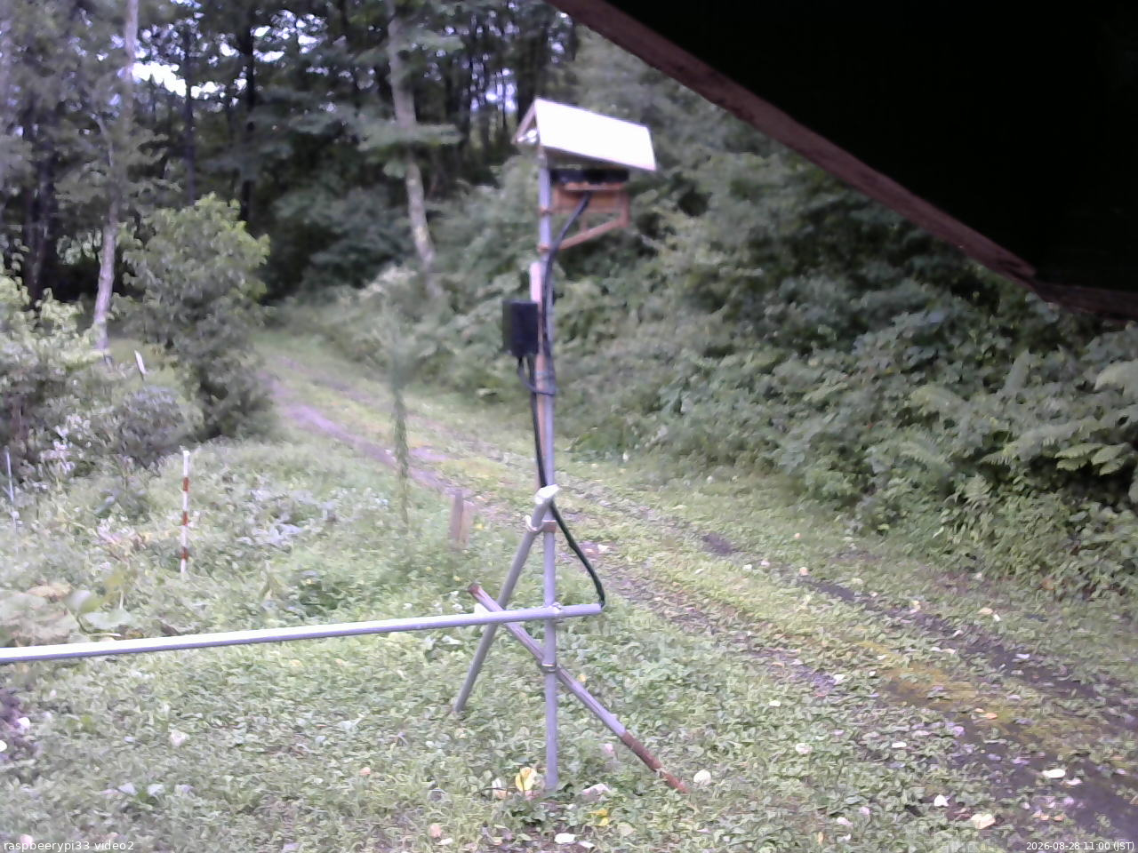 長野県菅平高原 ゆたか山荘 南側 2026/08/28 11:00