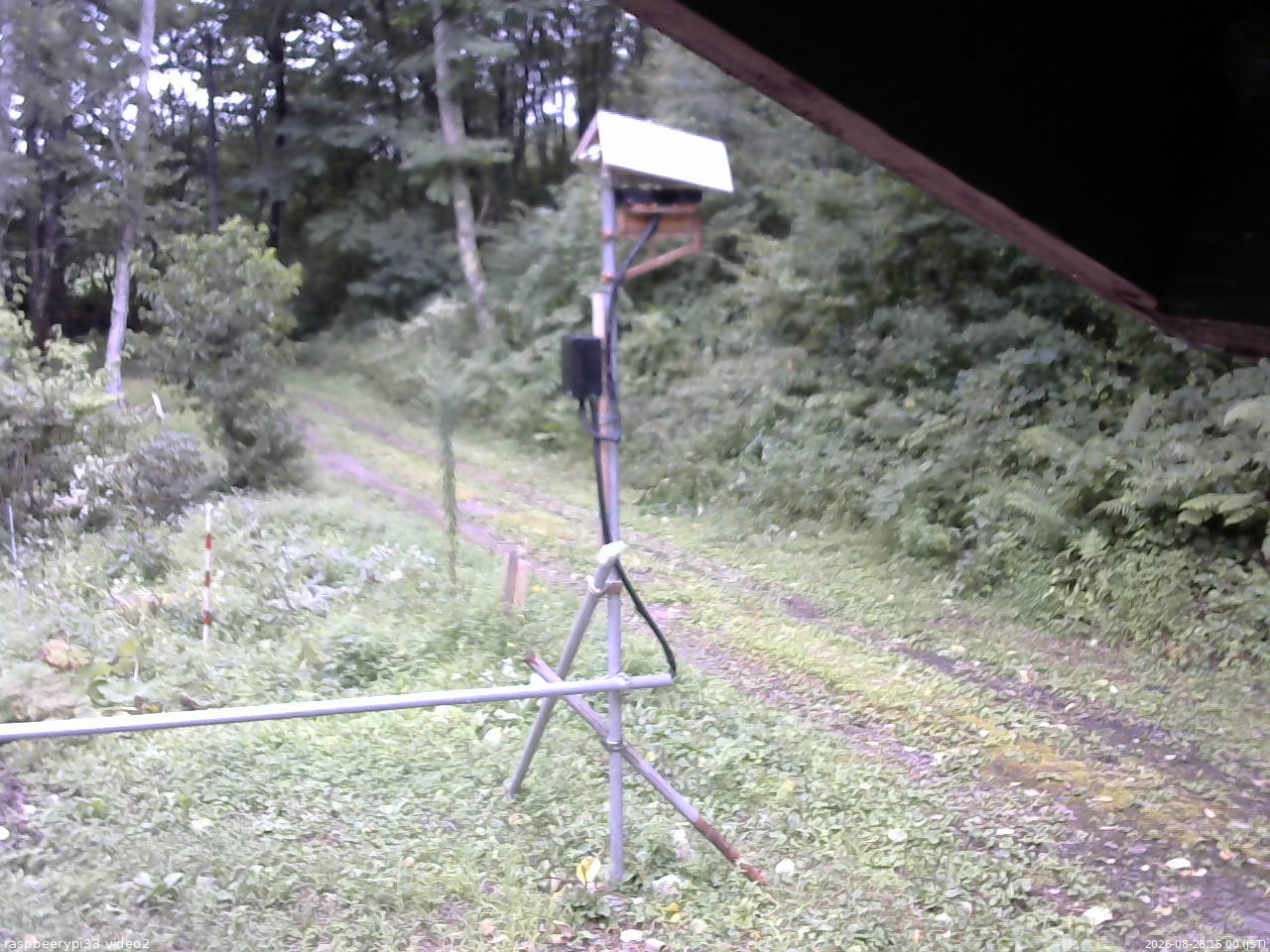 長野県菅平高原 ゆたか山荘 南側 2026/08/28 15:00