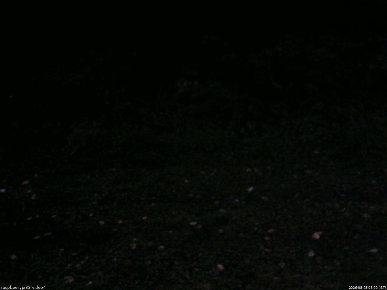 長野県菅平高原 ゆたか山荘 東側(坂下) 2026/08/28 05:00